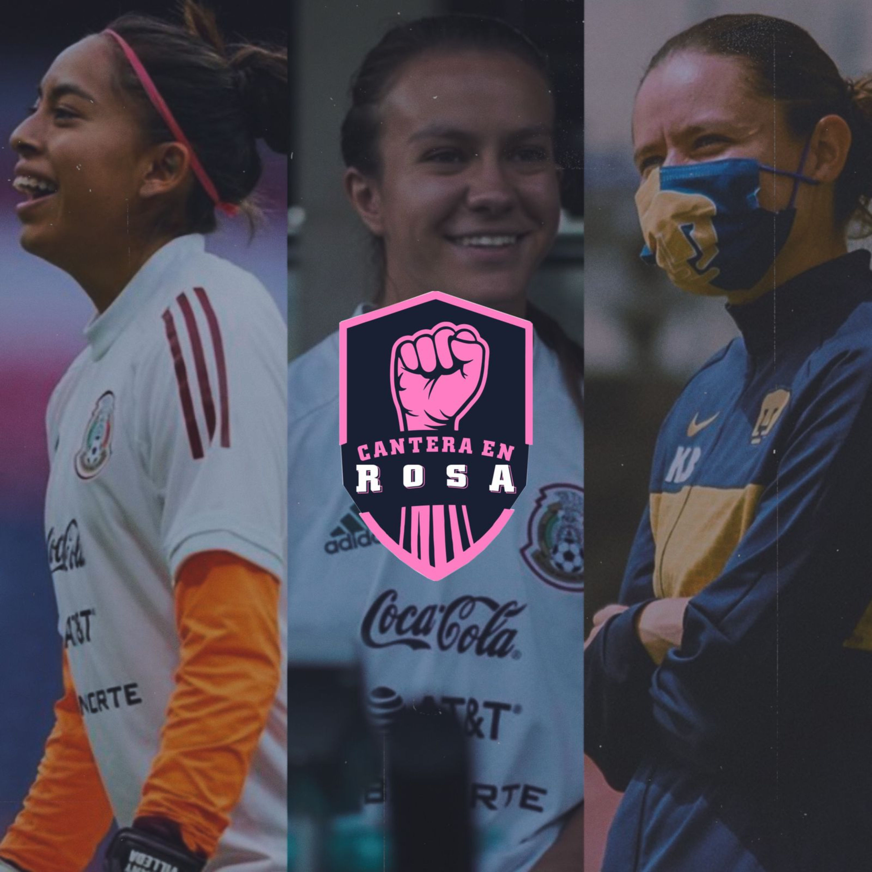 Cantera en Rosa