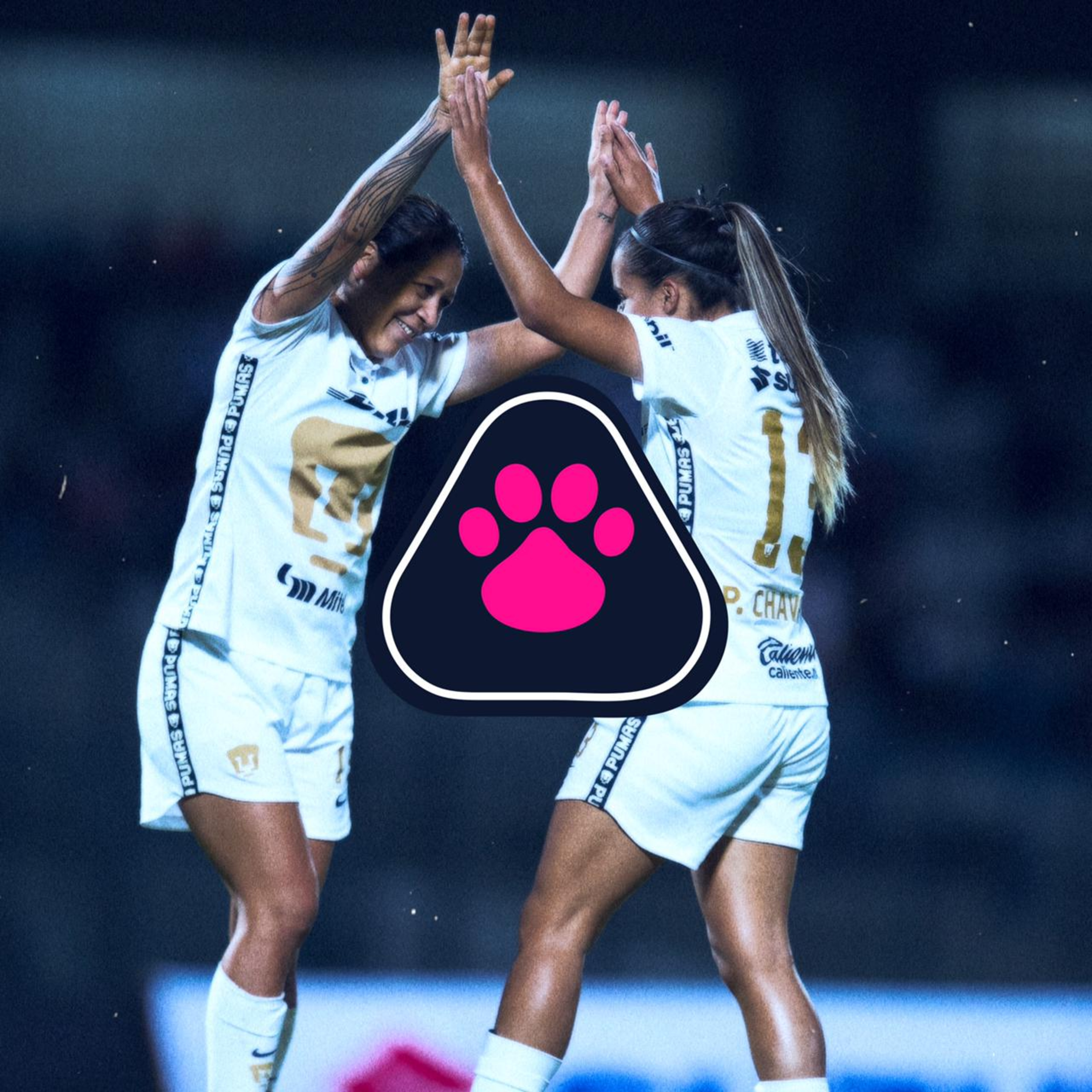 Cantera en Rosa