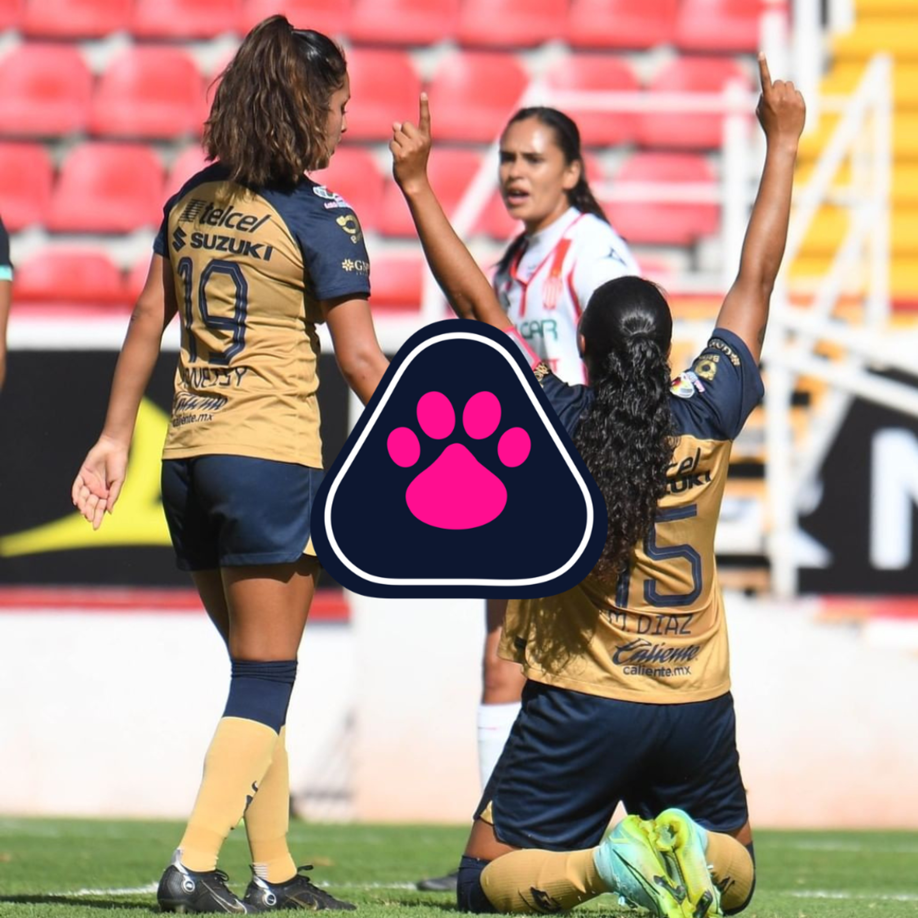 Cantera en Rosa