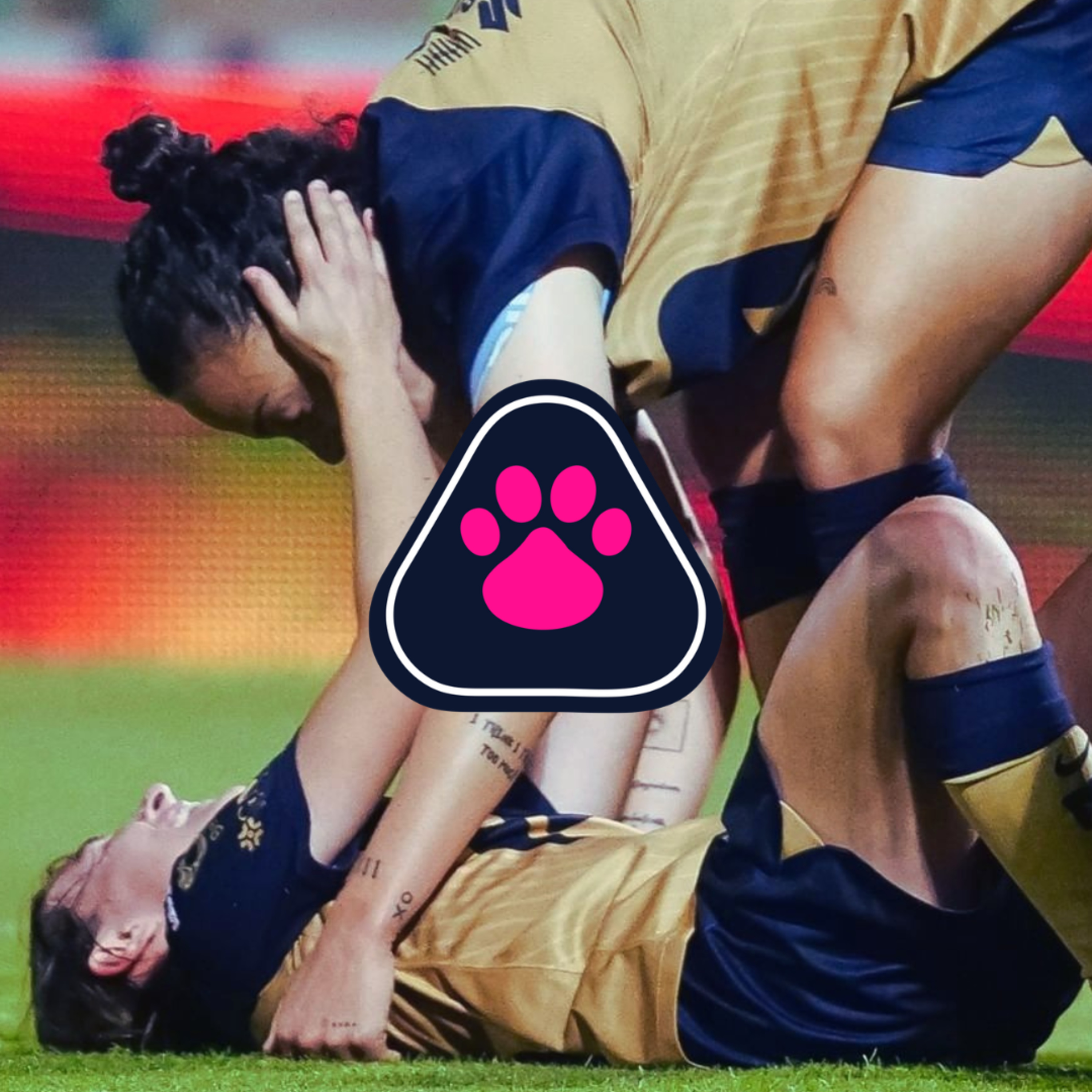 Cantera en Rosa