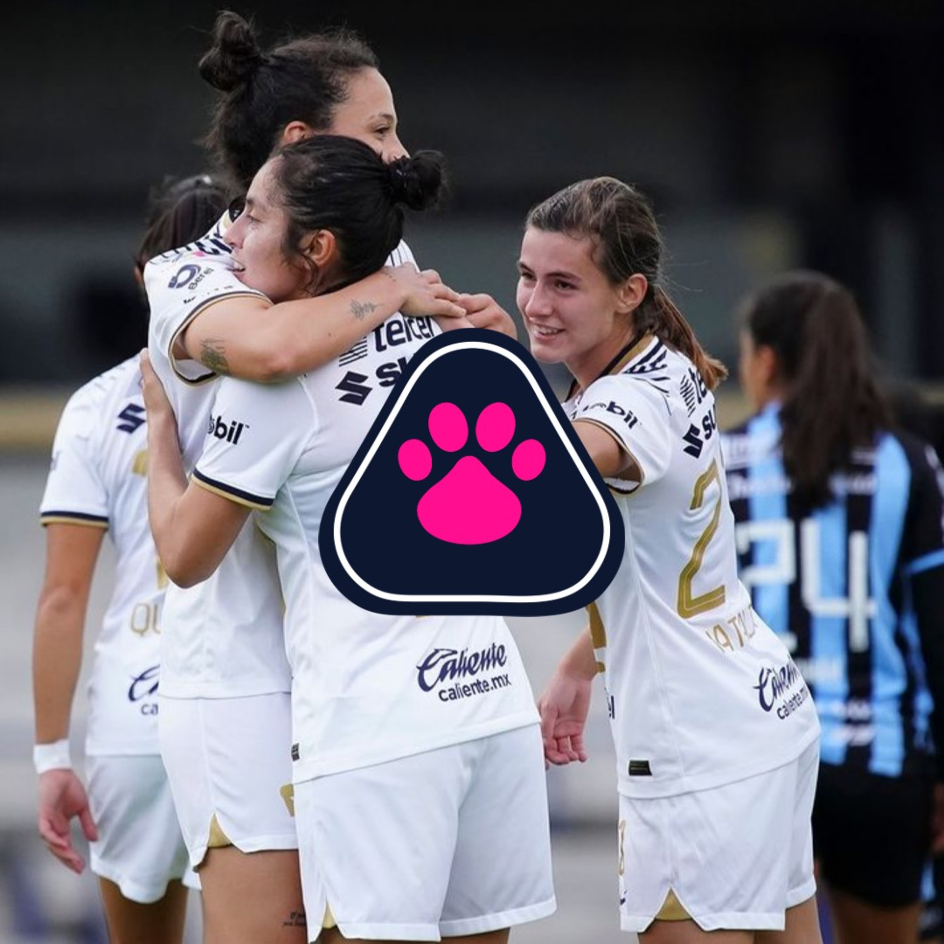 Cantera en Rosa