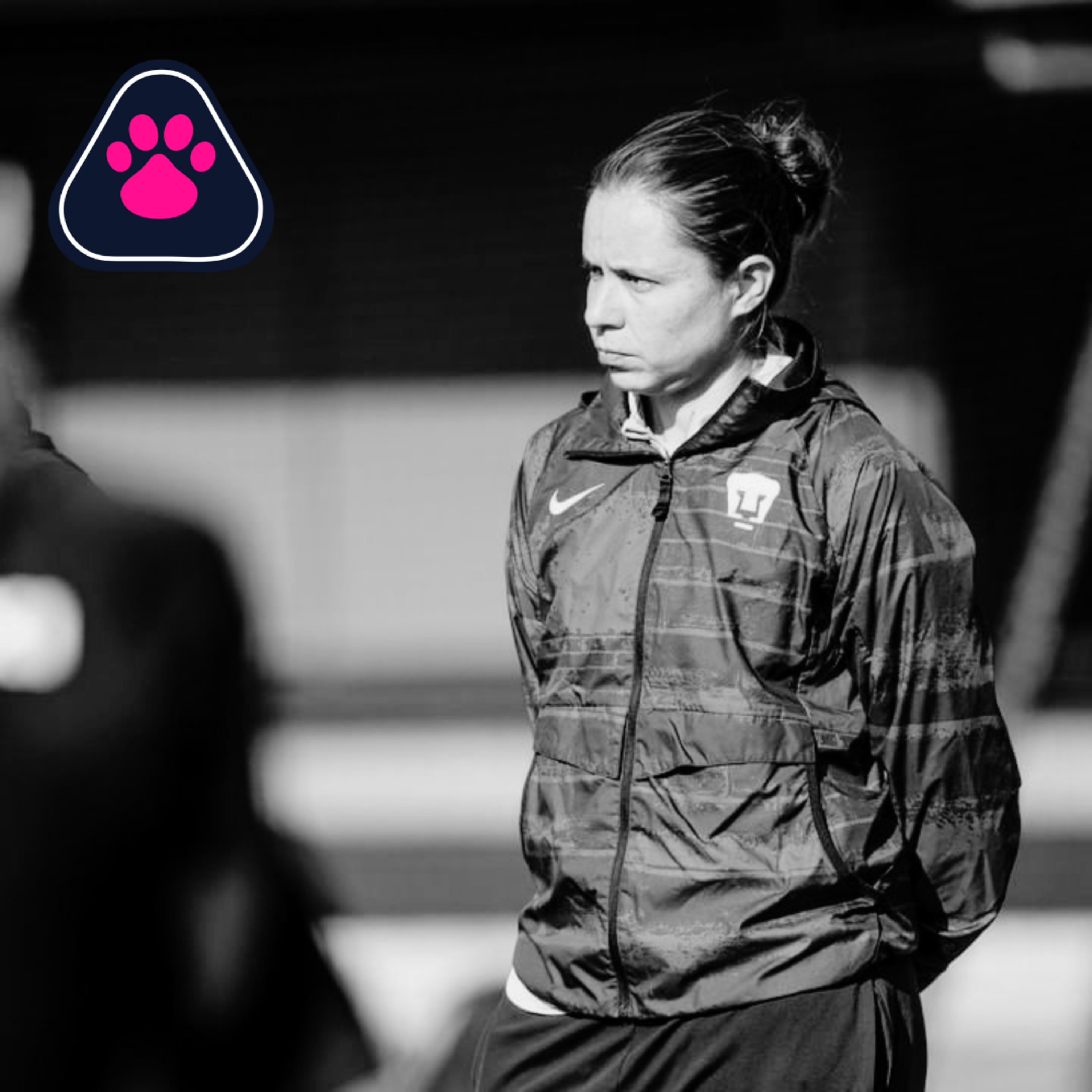 Cantera en Rosa