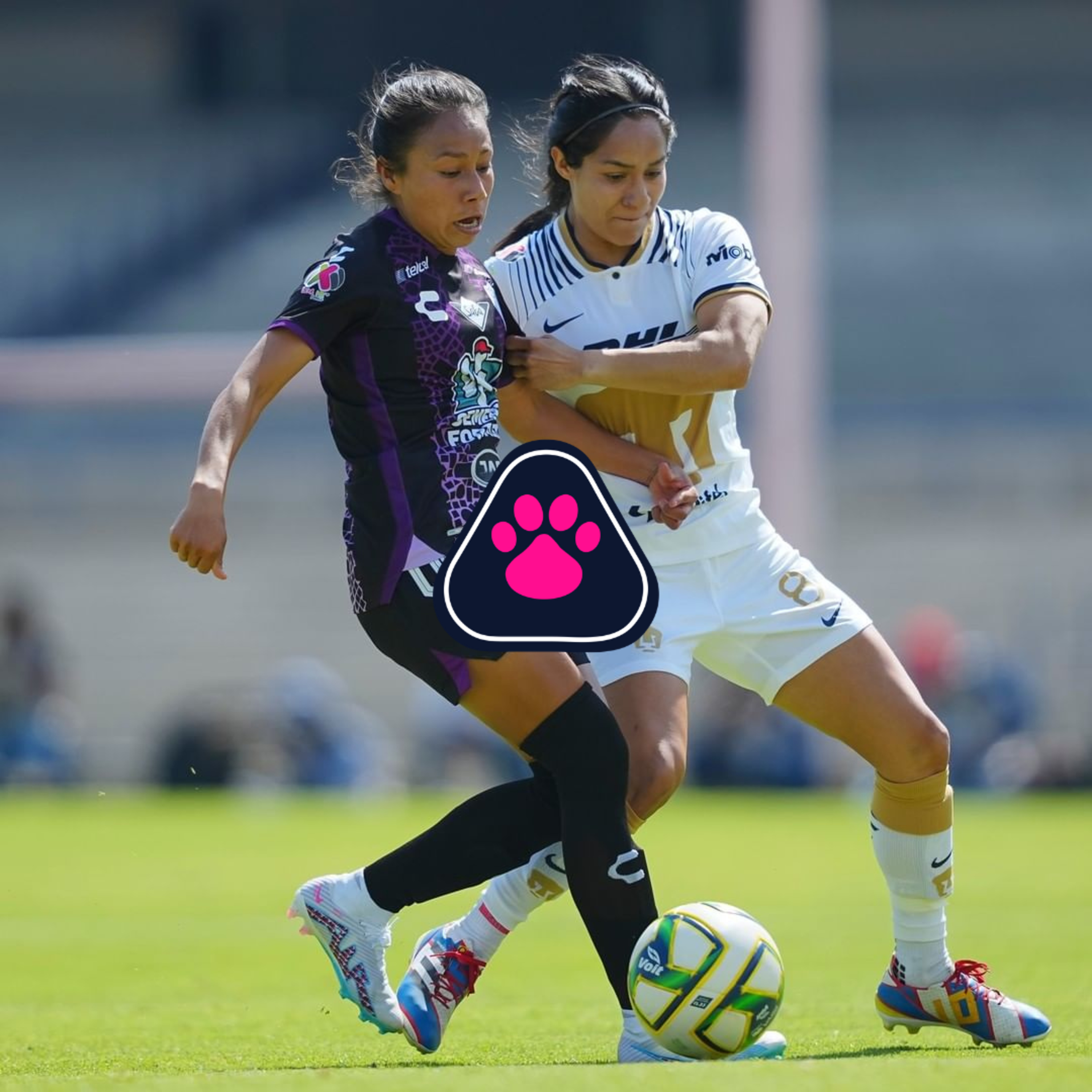 Cantera en Rosa