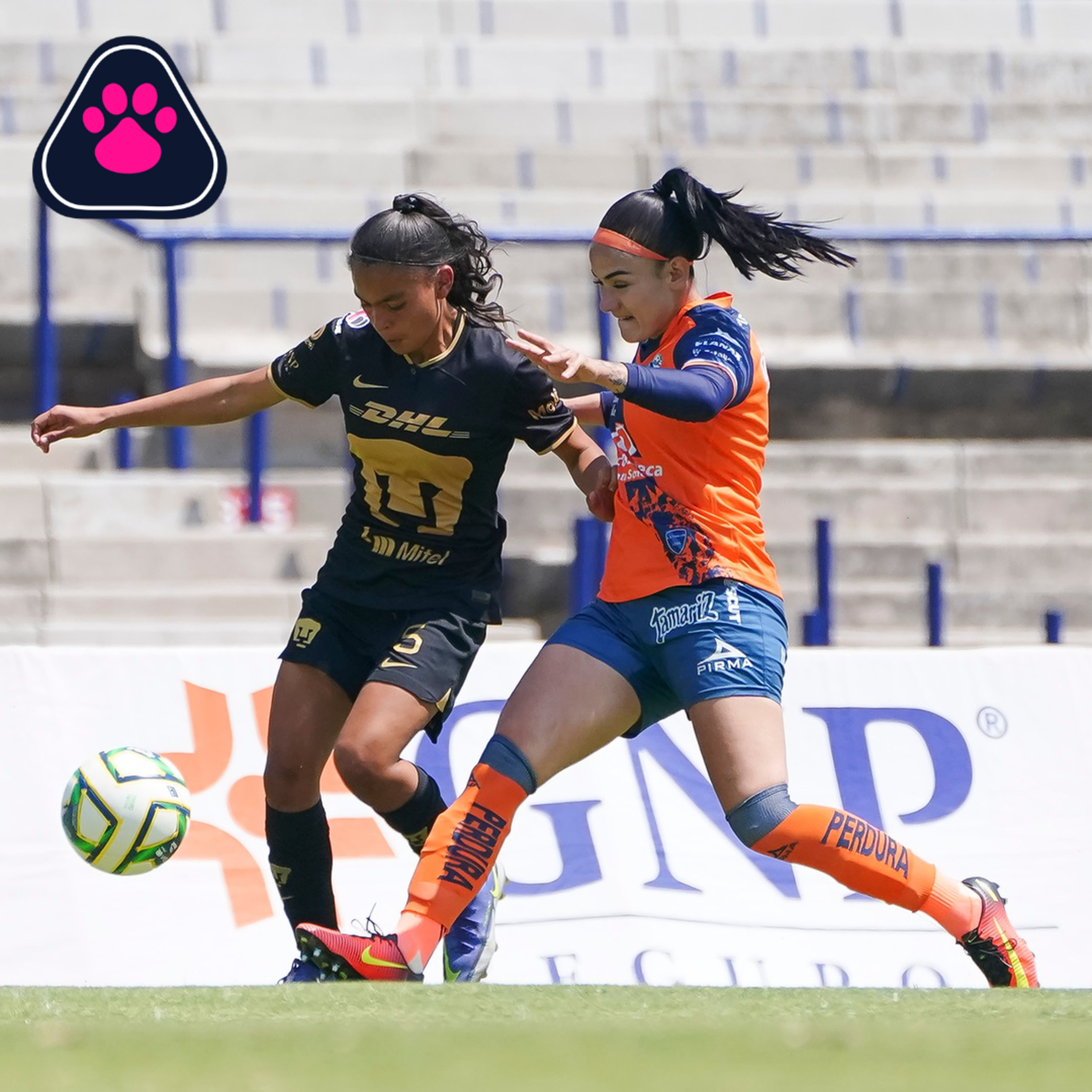 Cantera en Rosa