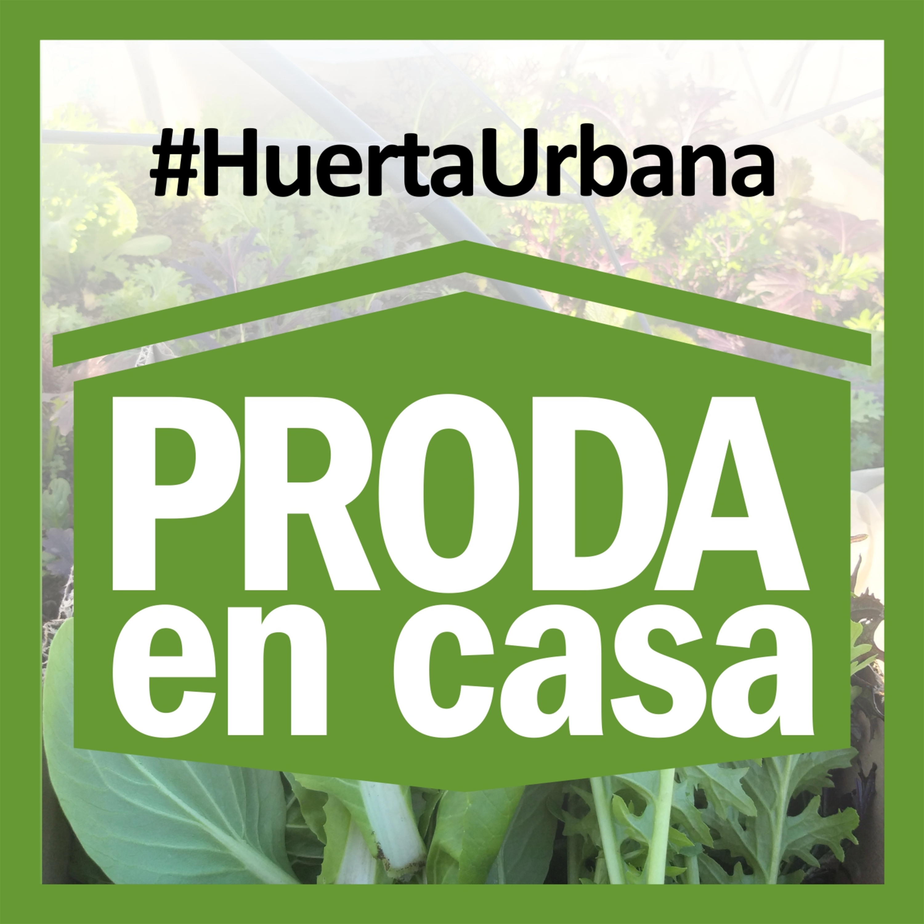 #PRODA EN CASA - TE ACOMPAÑA a HACER TU HUERTA ORGÁNICA EN CASA
