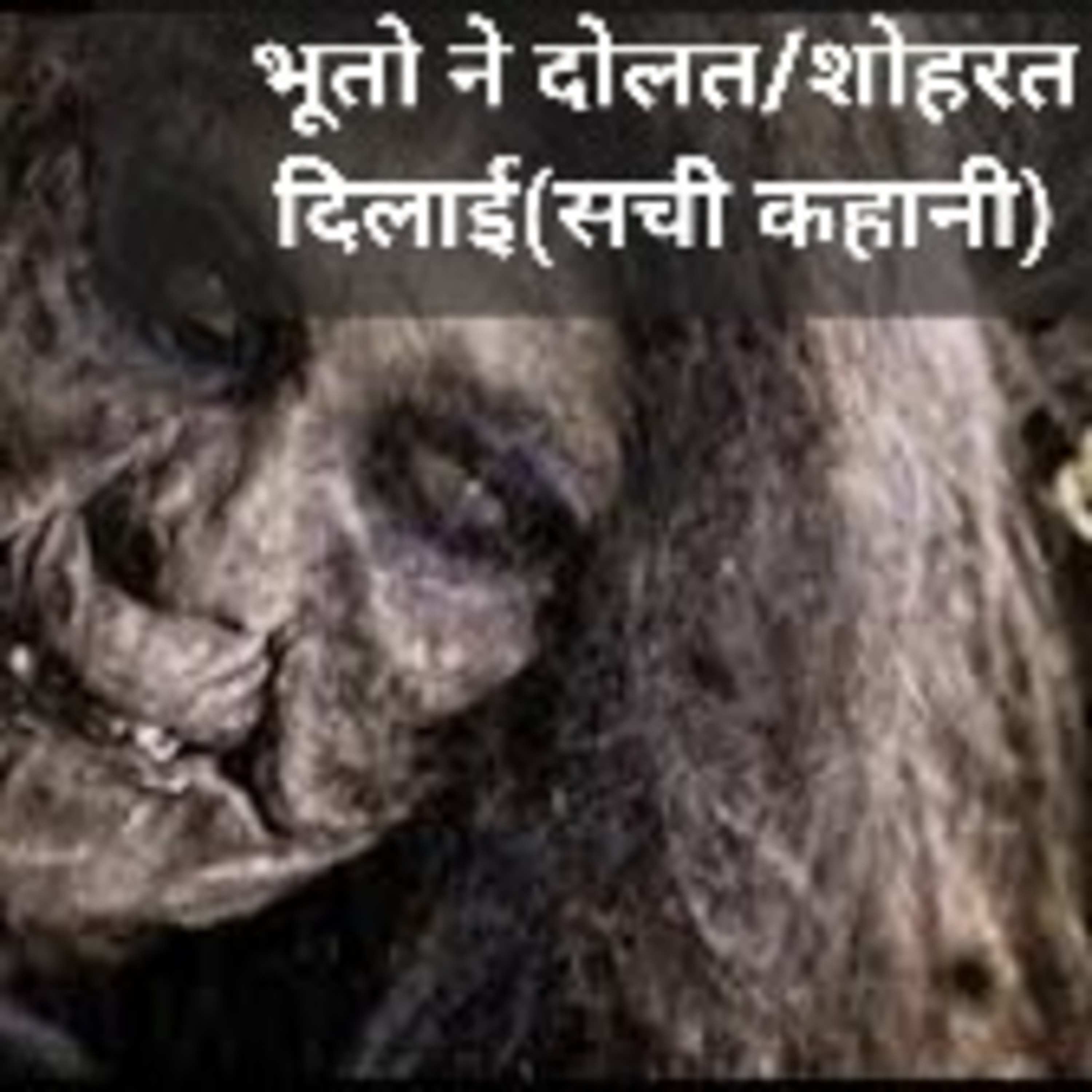 Puja Gupta (Short Stories)