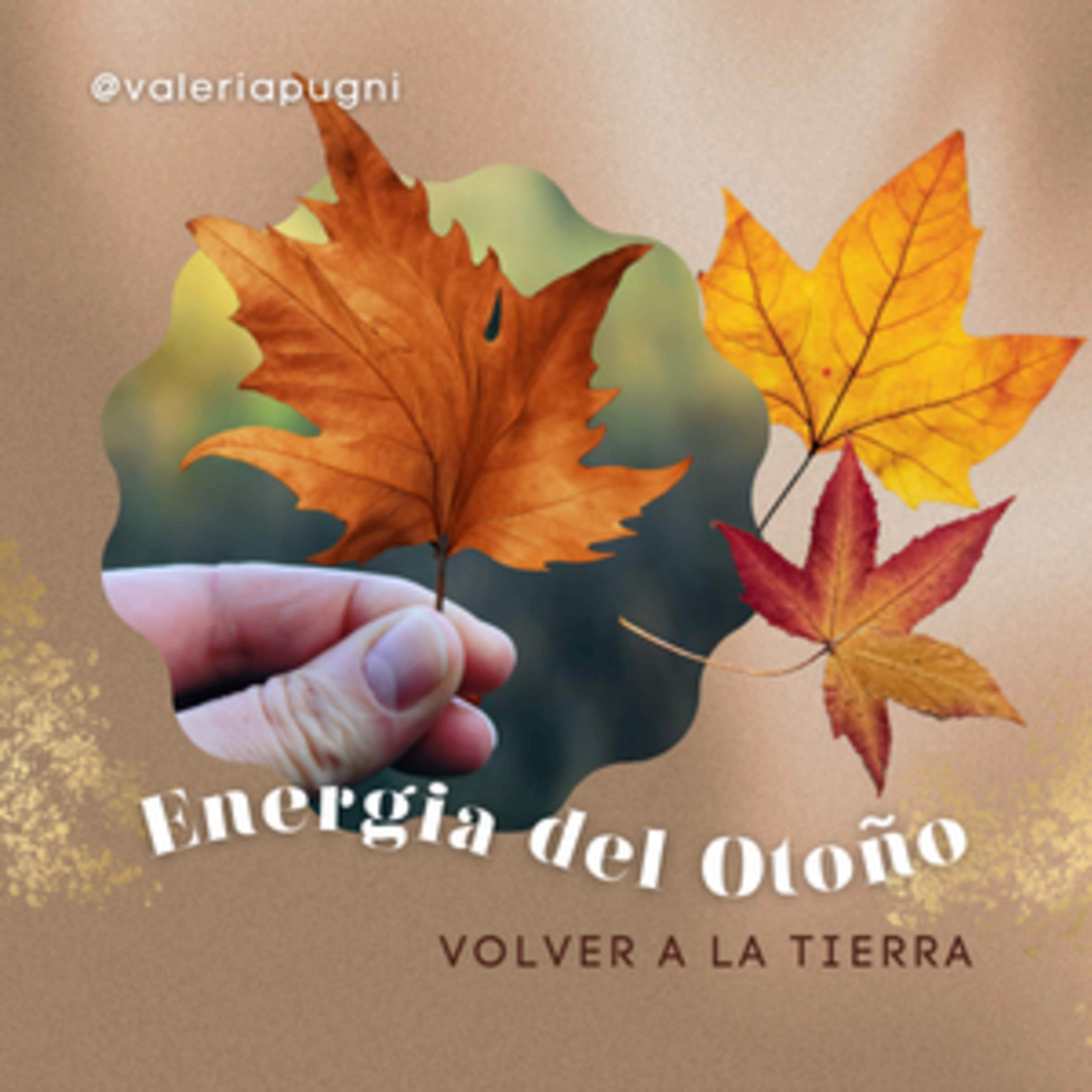 Energía del Otoño - Volver a la Tierra episode artwork