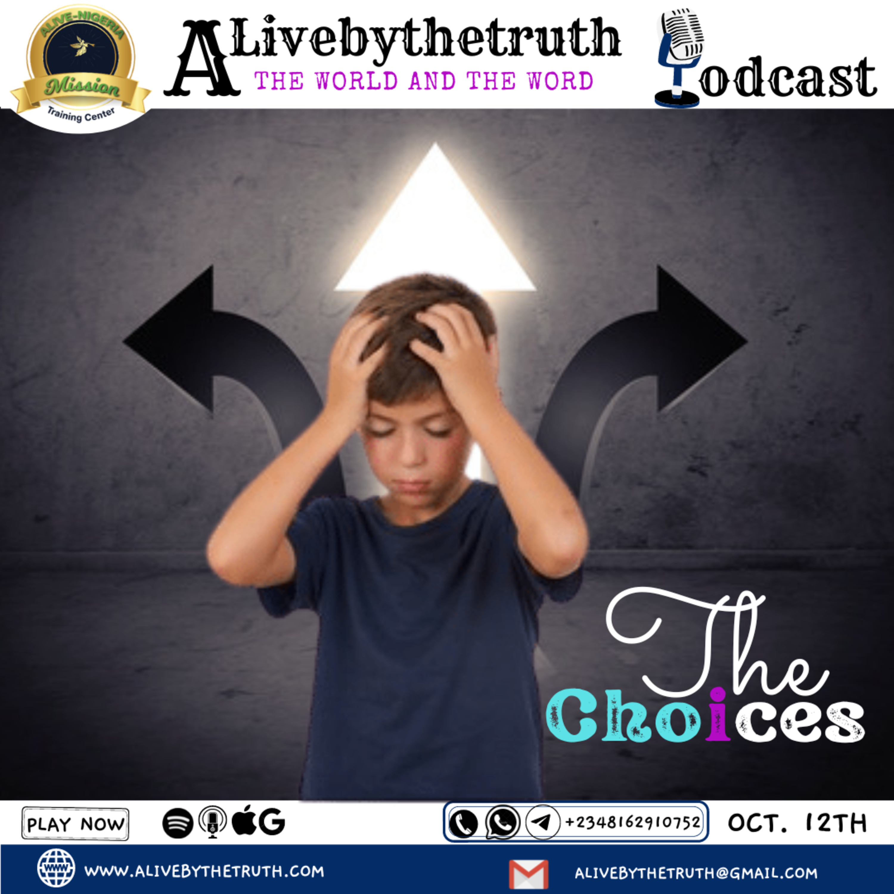 The Choices  episode artwork