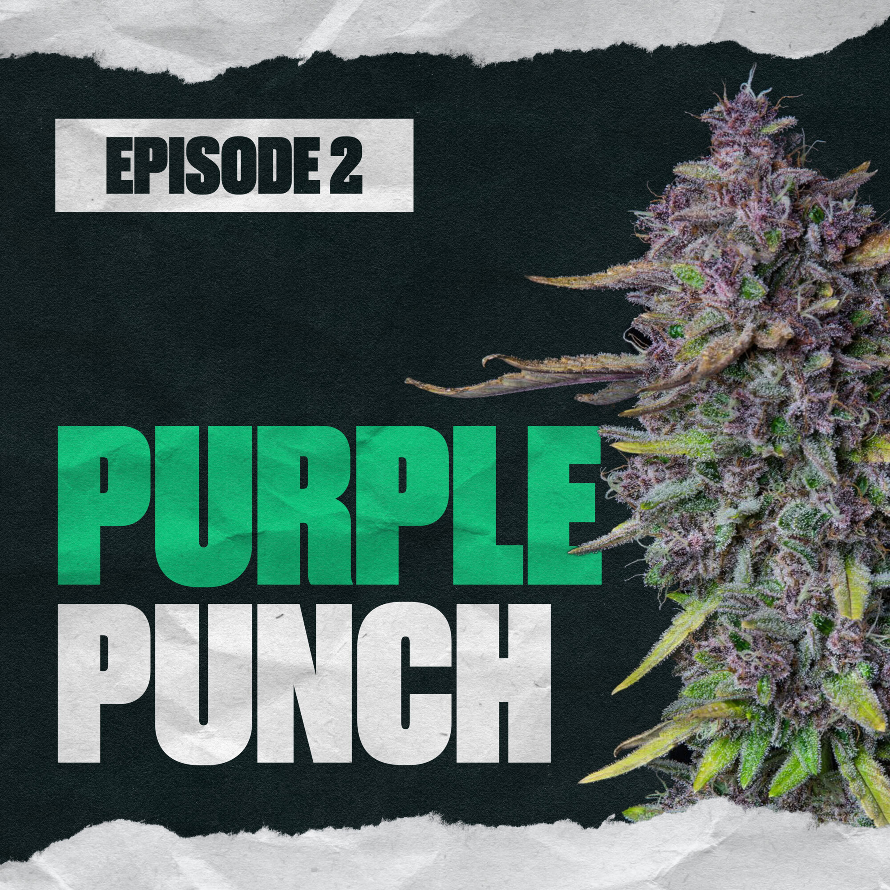 Purple Punch