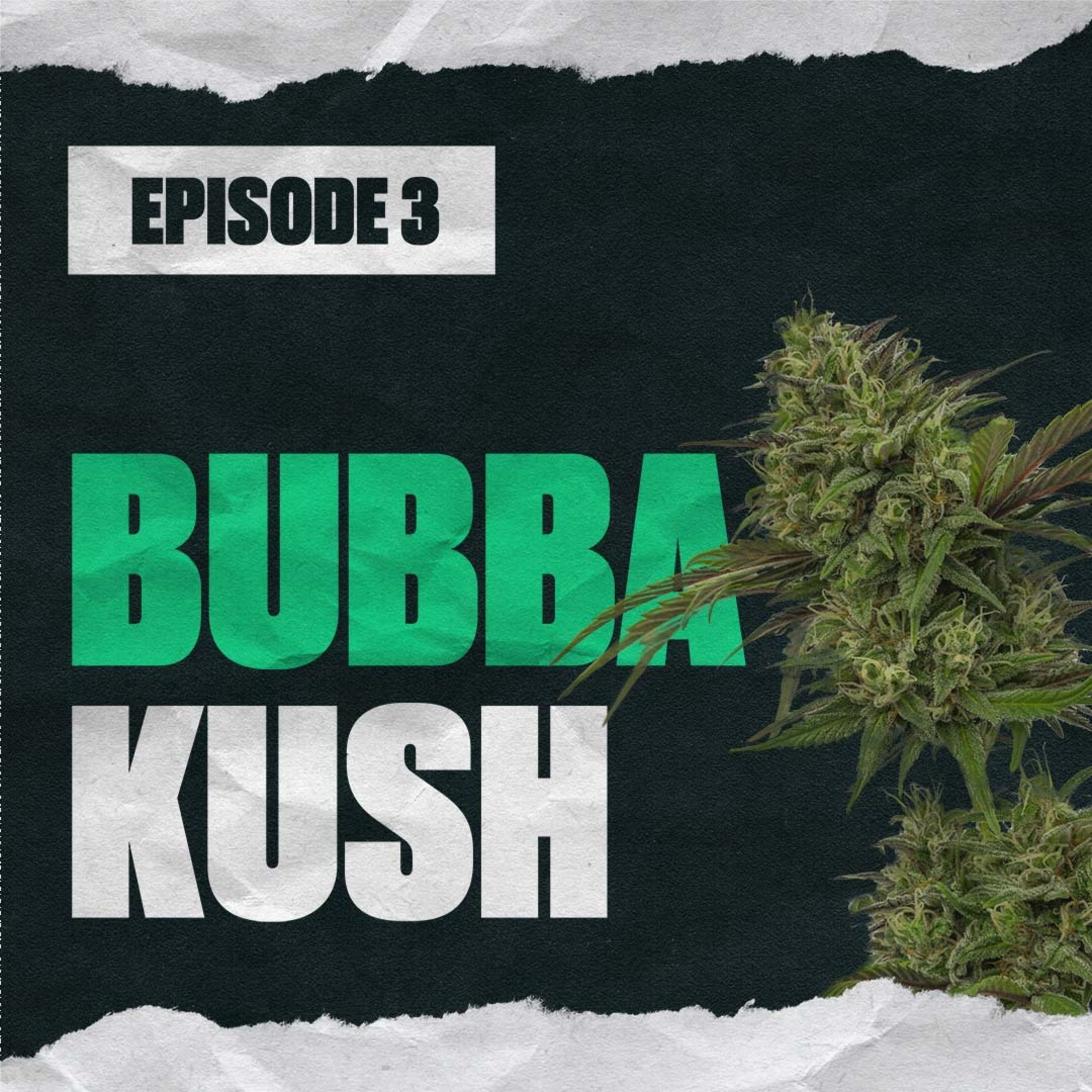 Bubba Kush