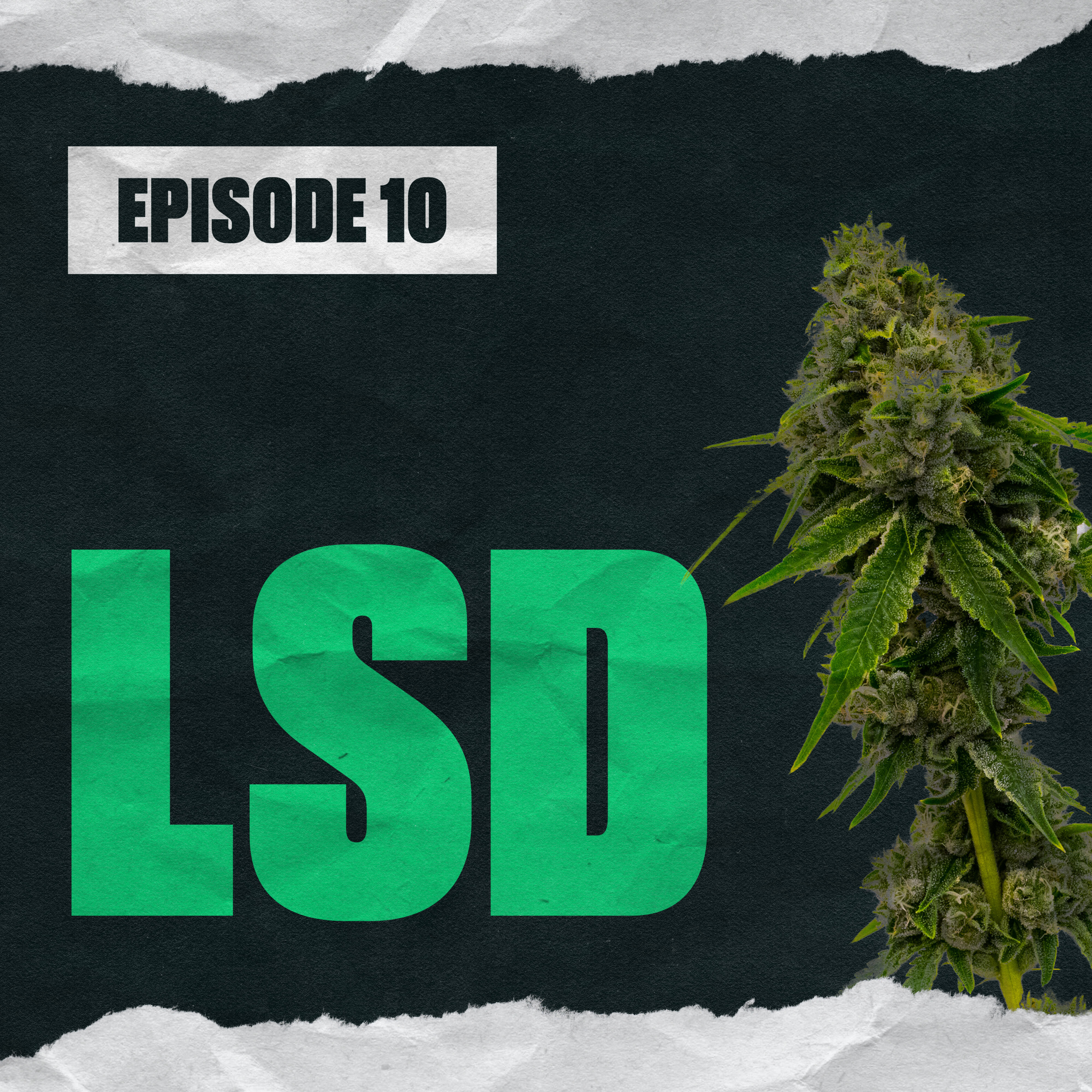 LSD