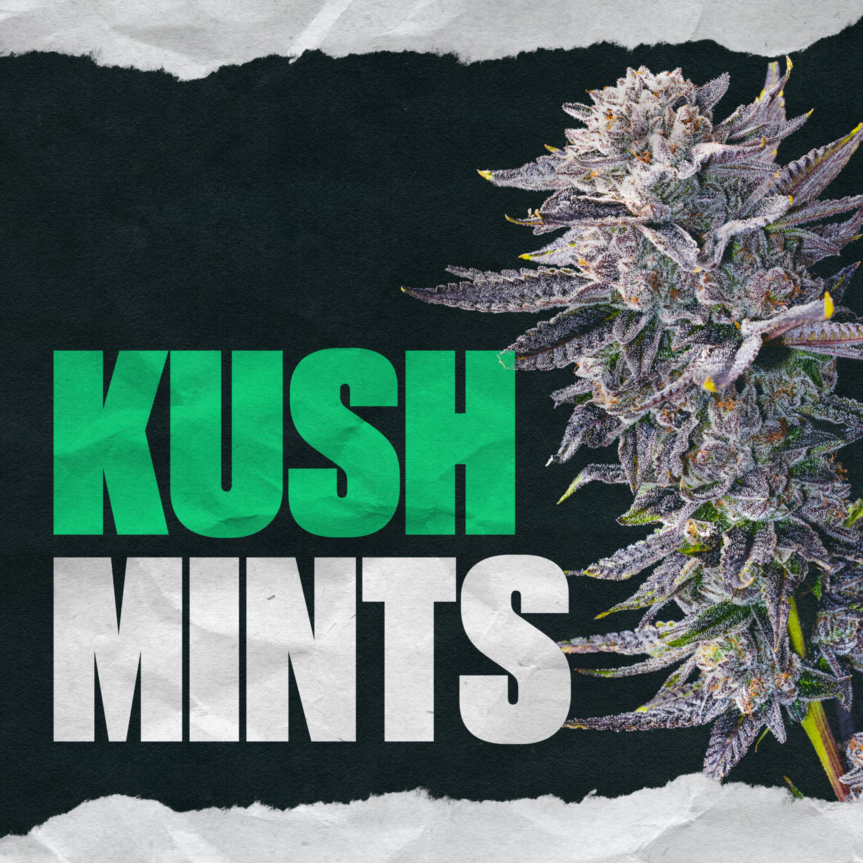 Kush Mints