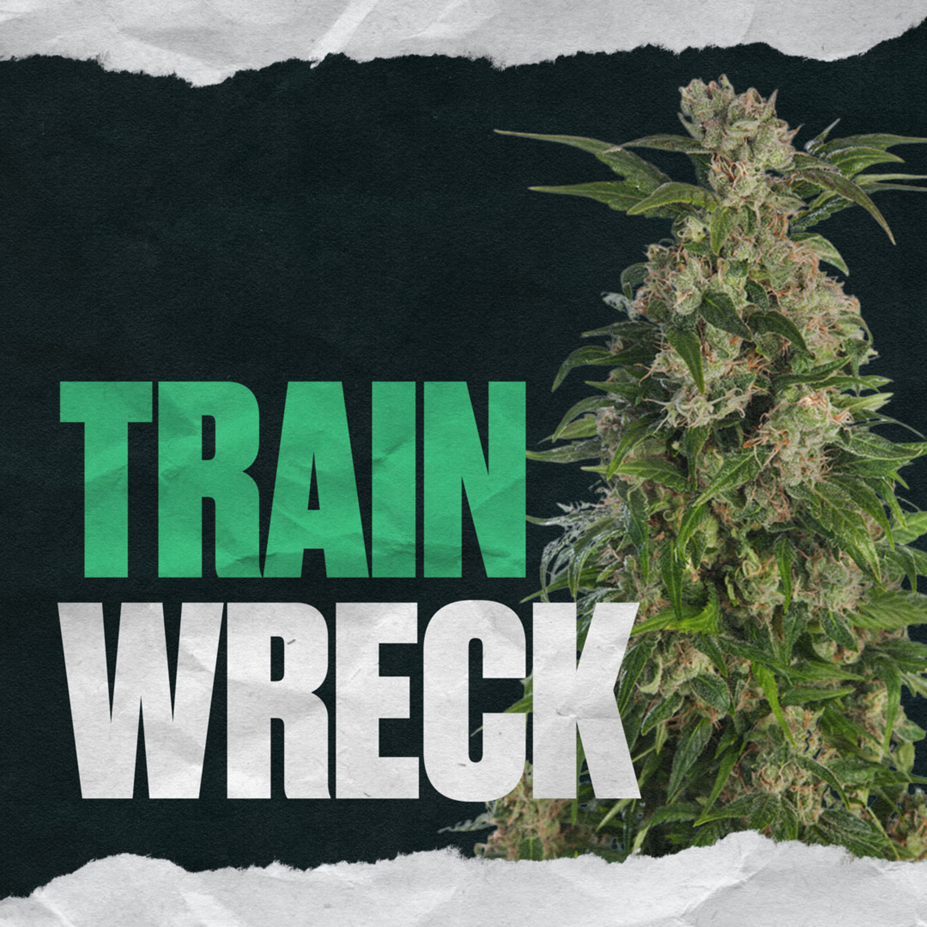 Train Wreck