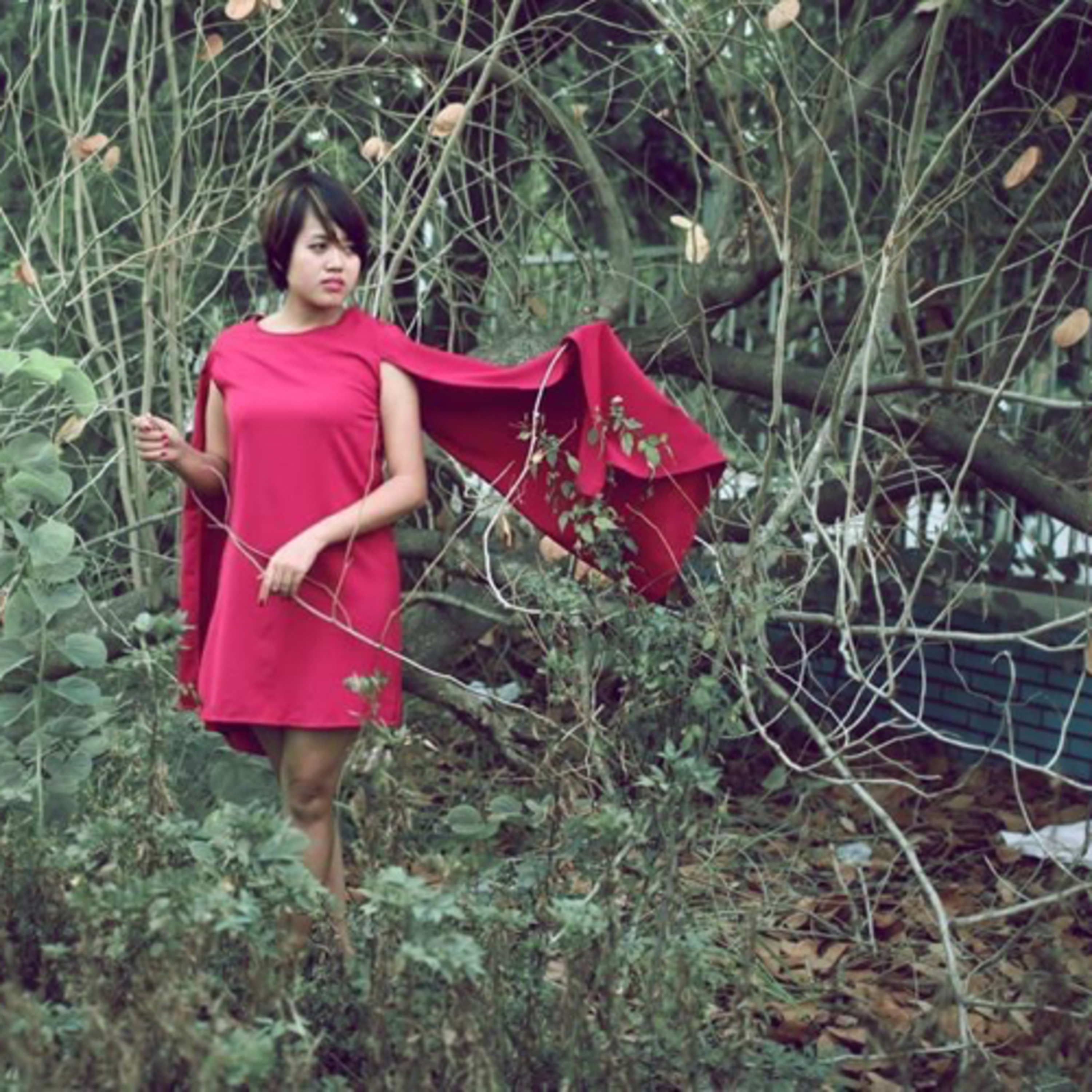 Nhung Dang