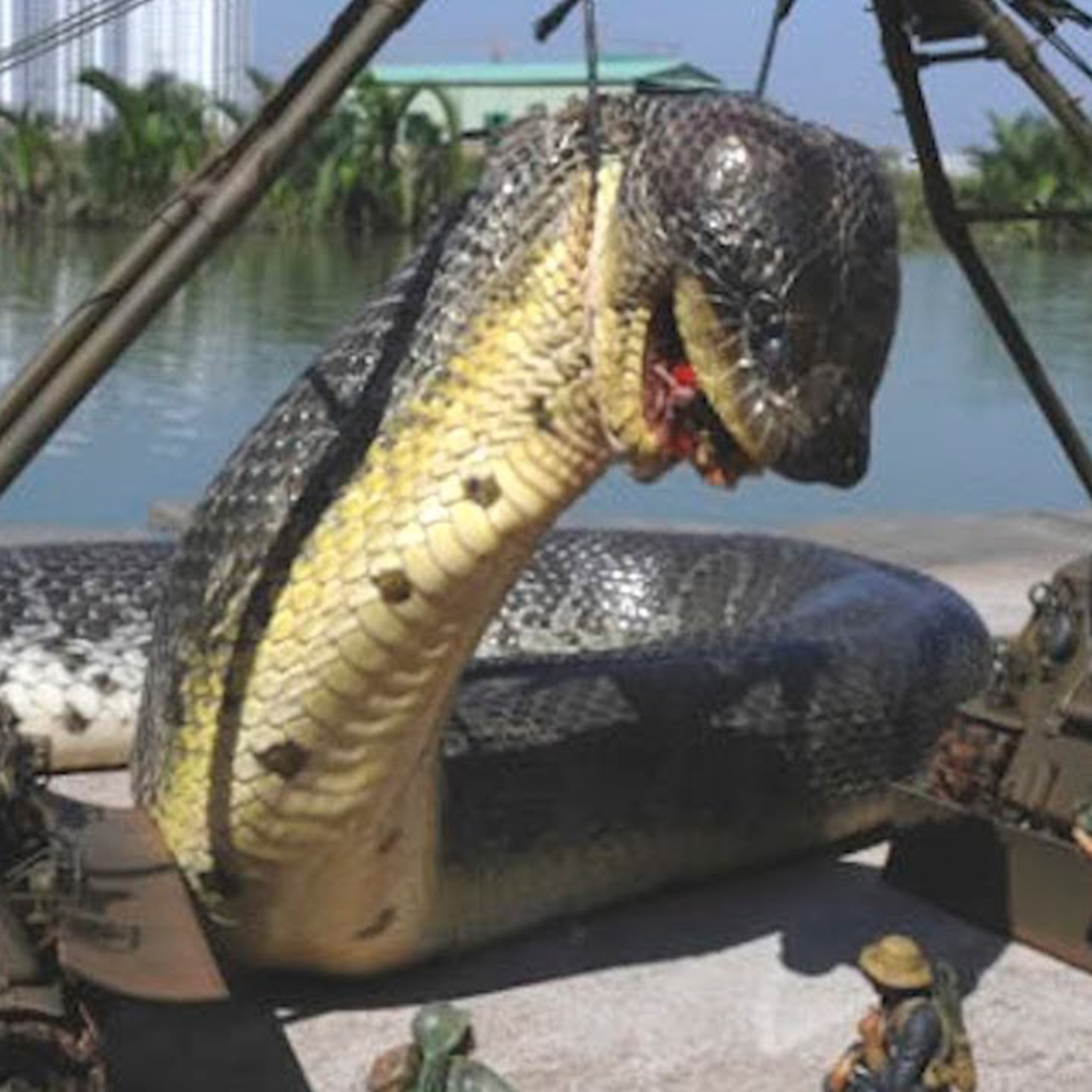 Animales Prehistoricos Mas Grandes