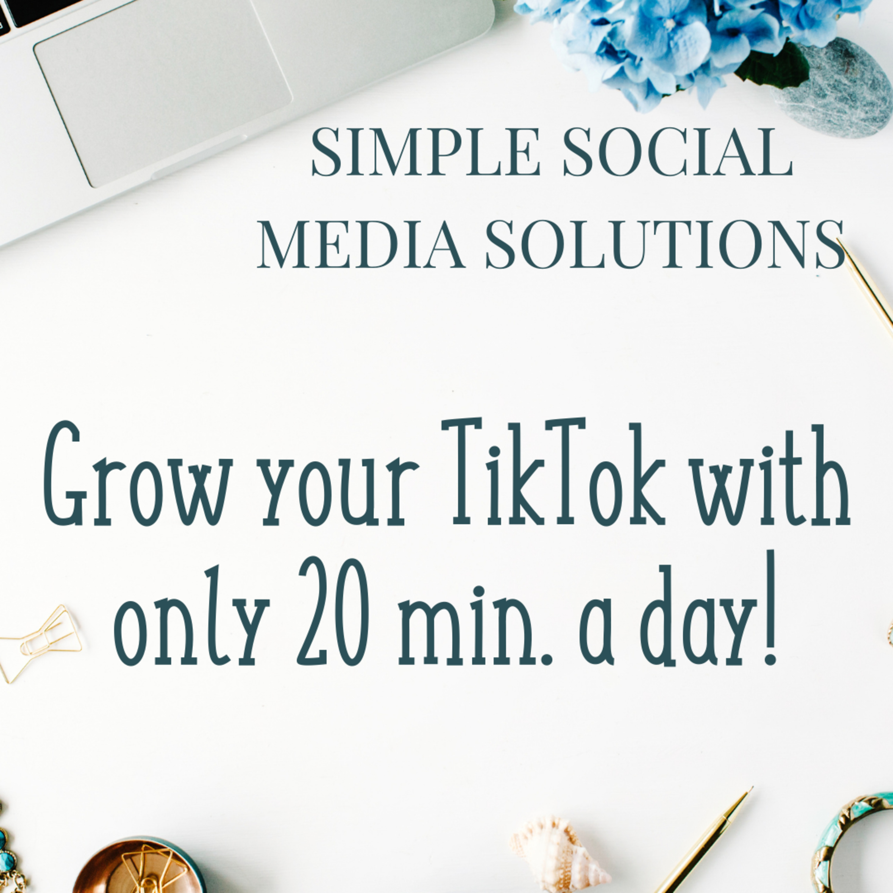 61. How to grow on TikTok with only 20 minutes a day! - Simple Strategy for Business Owners episode artwork