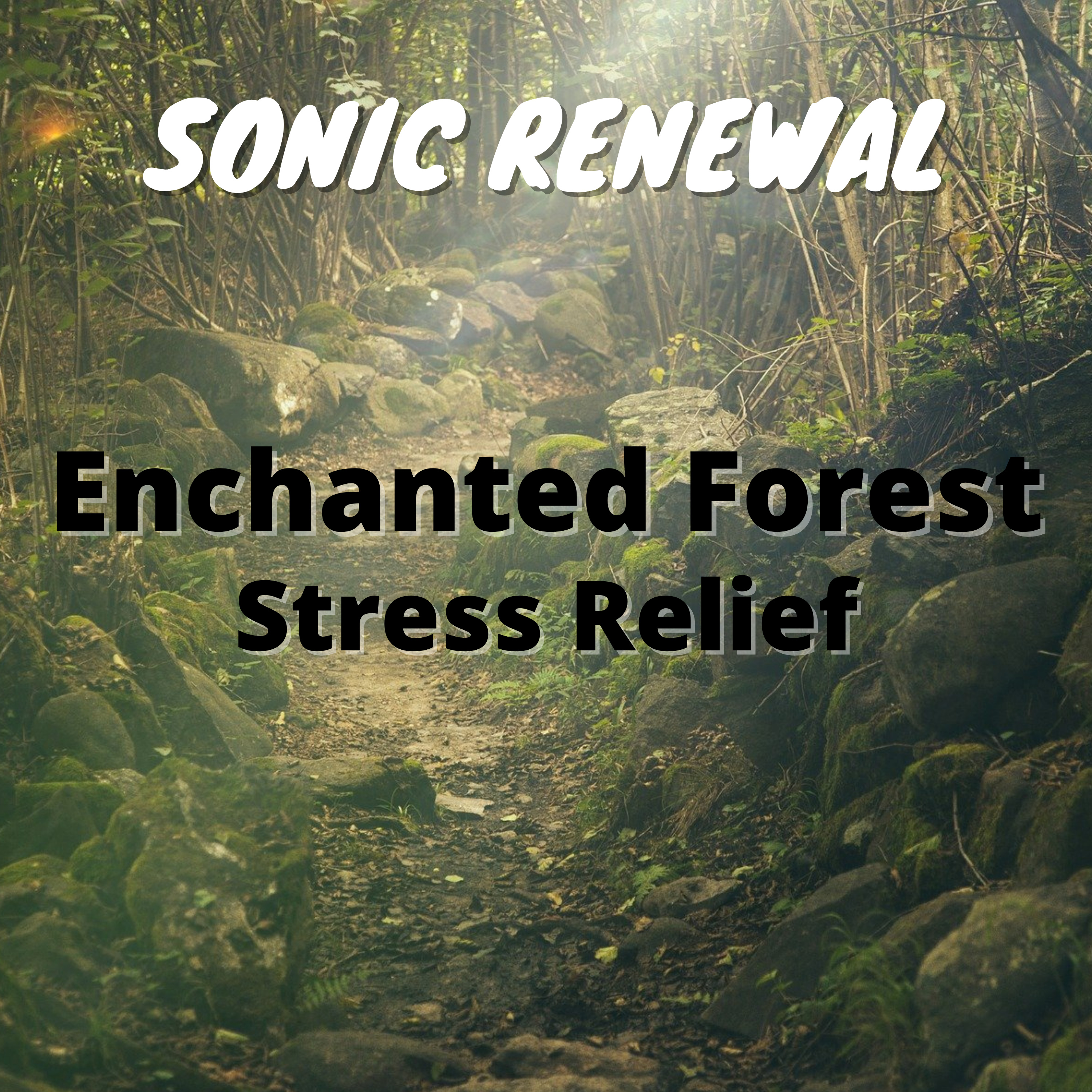 Enchanted Forest Stress Relief episode artwork