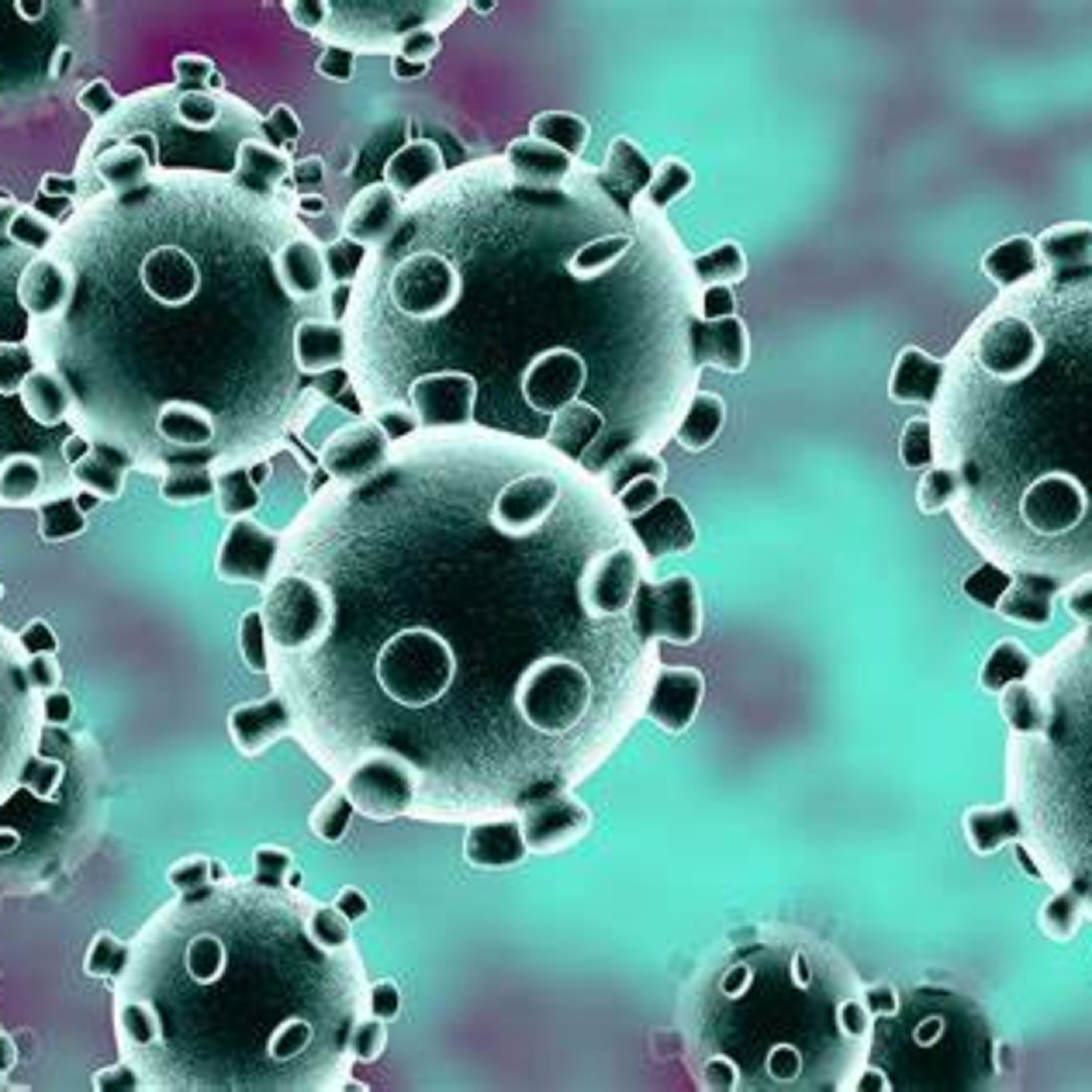 News, views, and infective bemuse | Episode 146