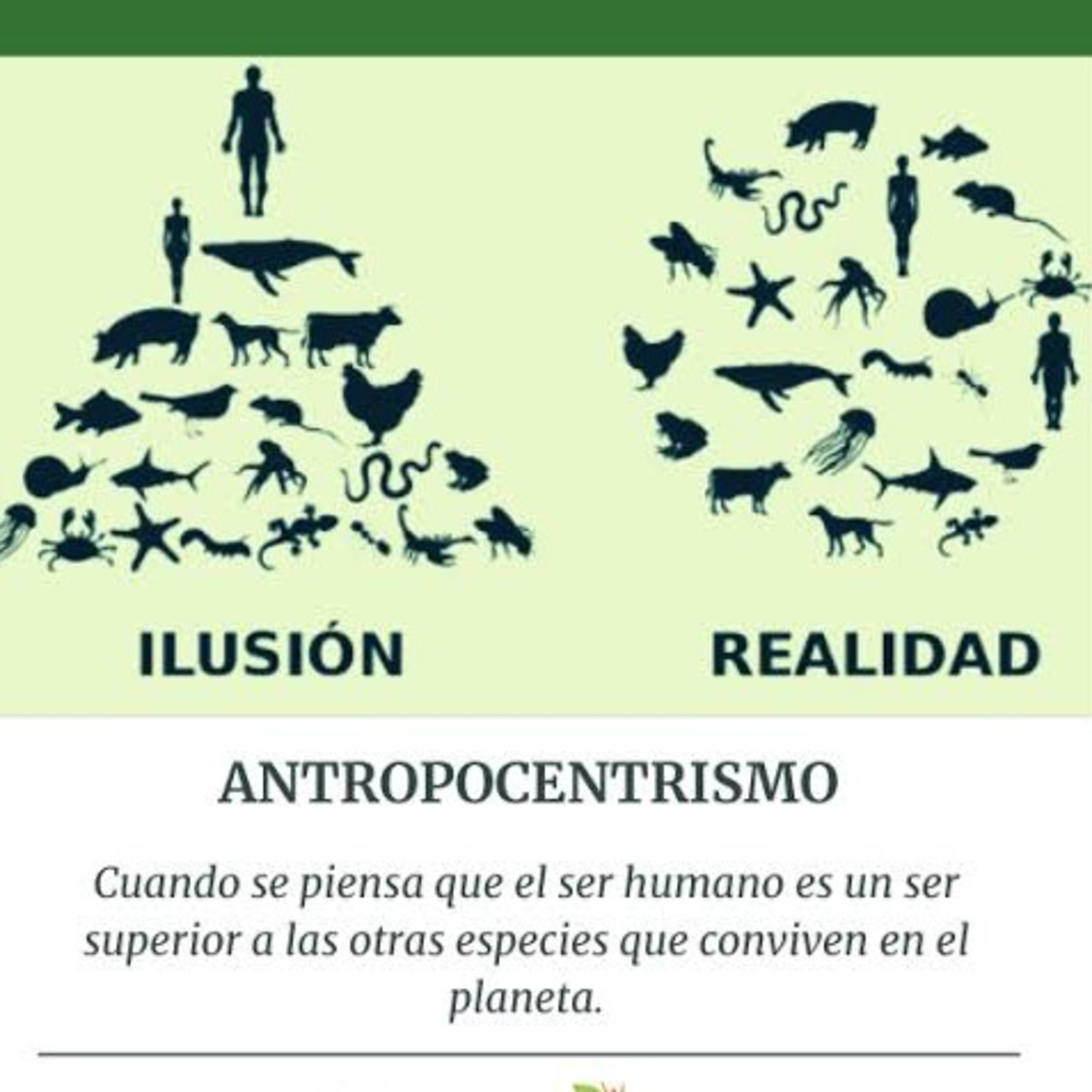 Portada de La Bruja del Cosmos
