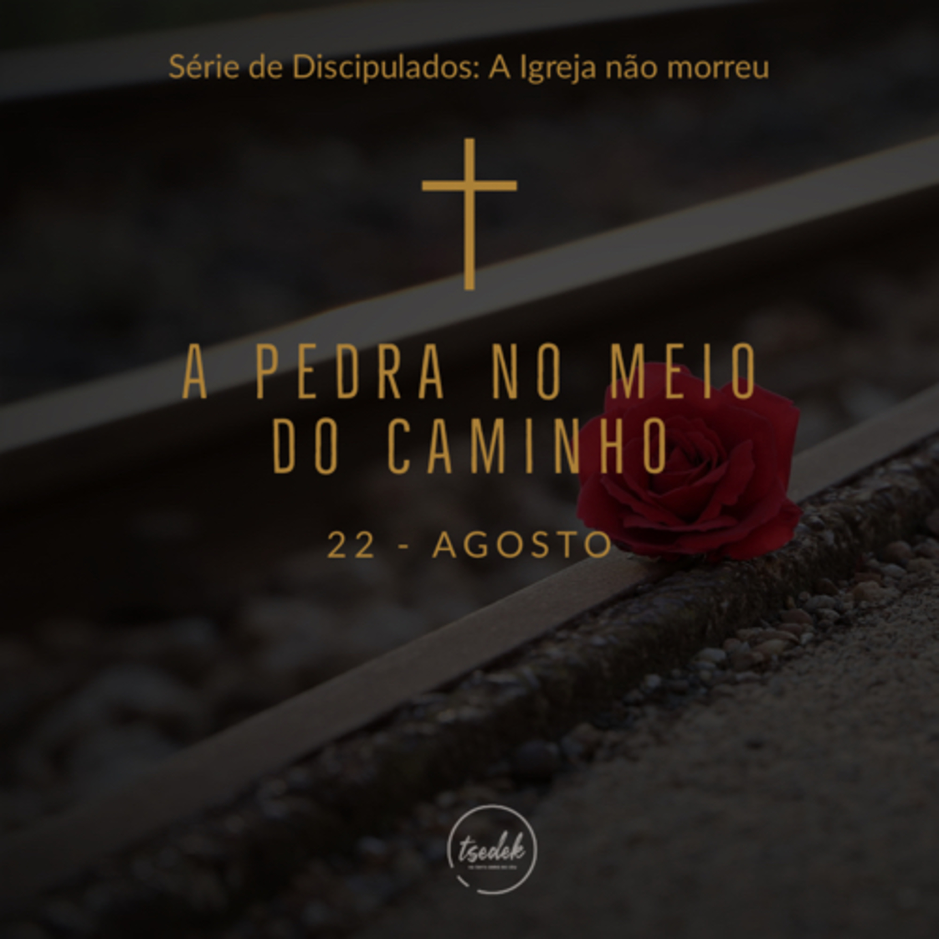Uma Pedra no Meio do Caminho episode artwork