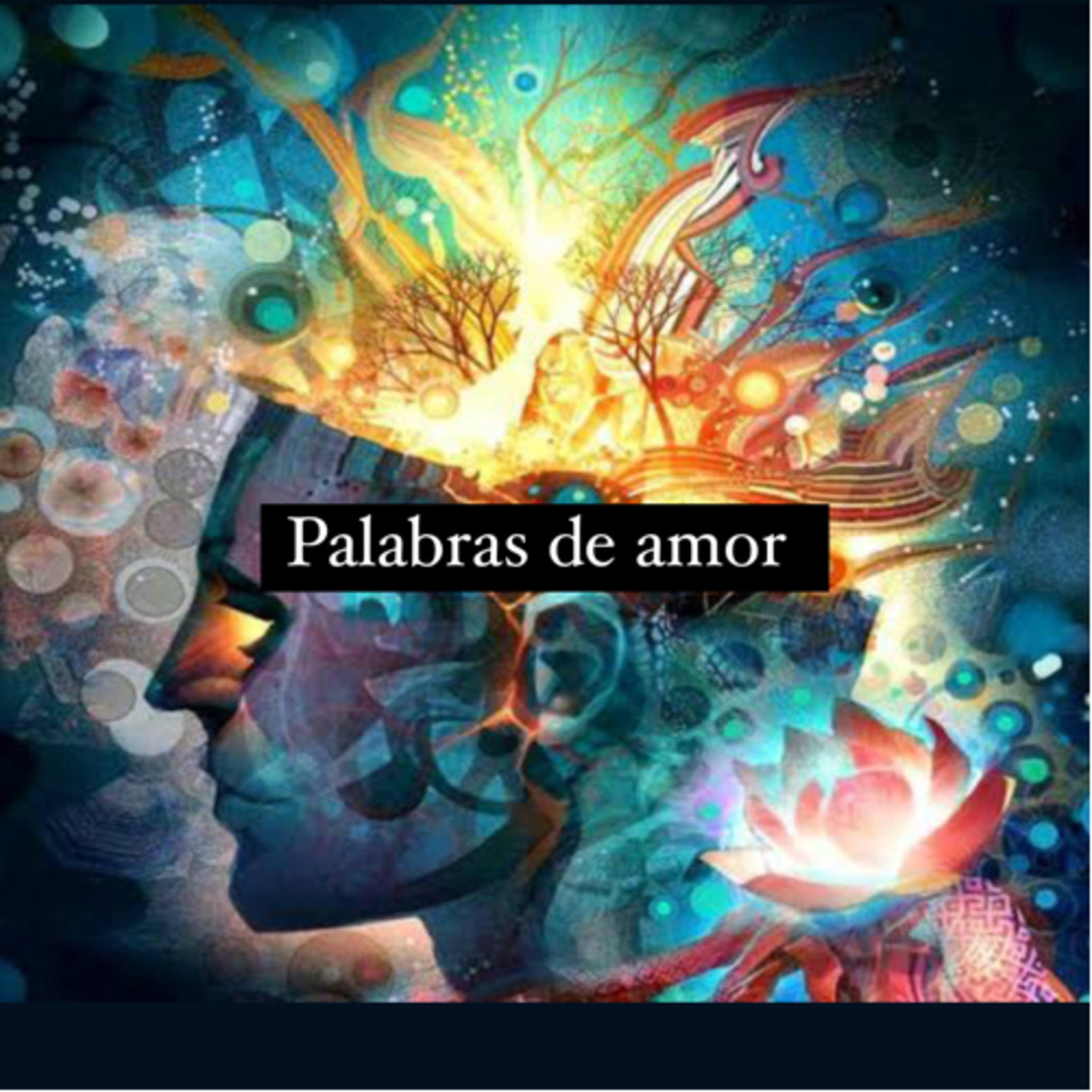 Palabras de amor episode artwork