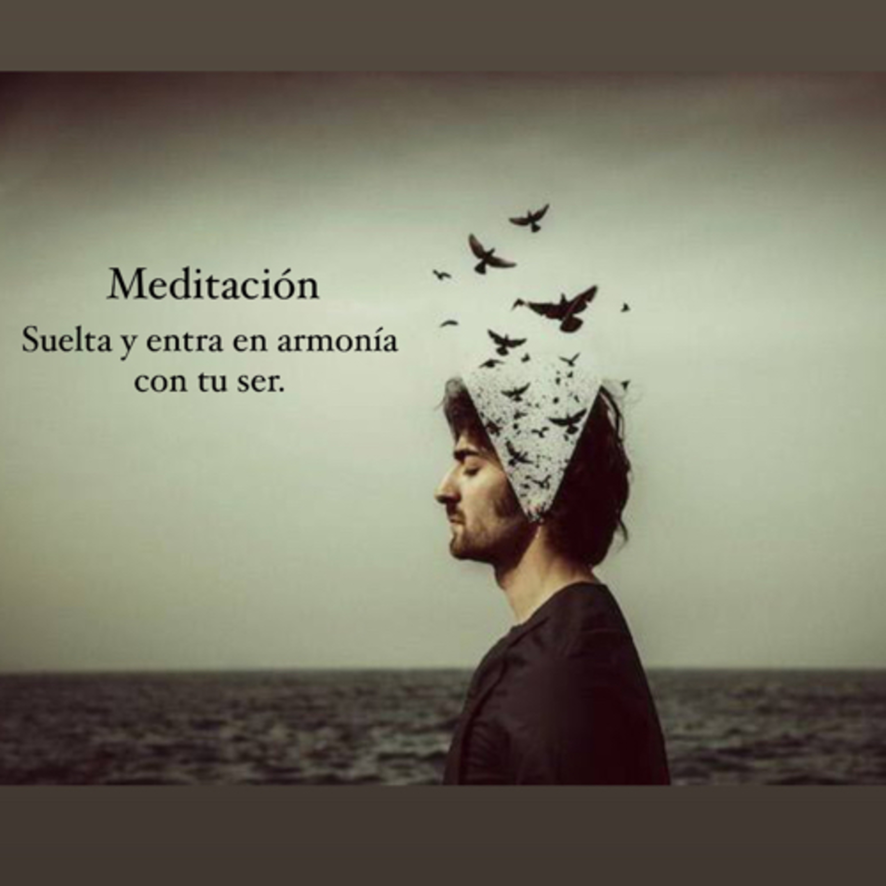 Suelta y entra en armonía con tu ser ( Meditación )  episode artwork