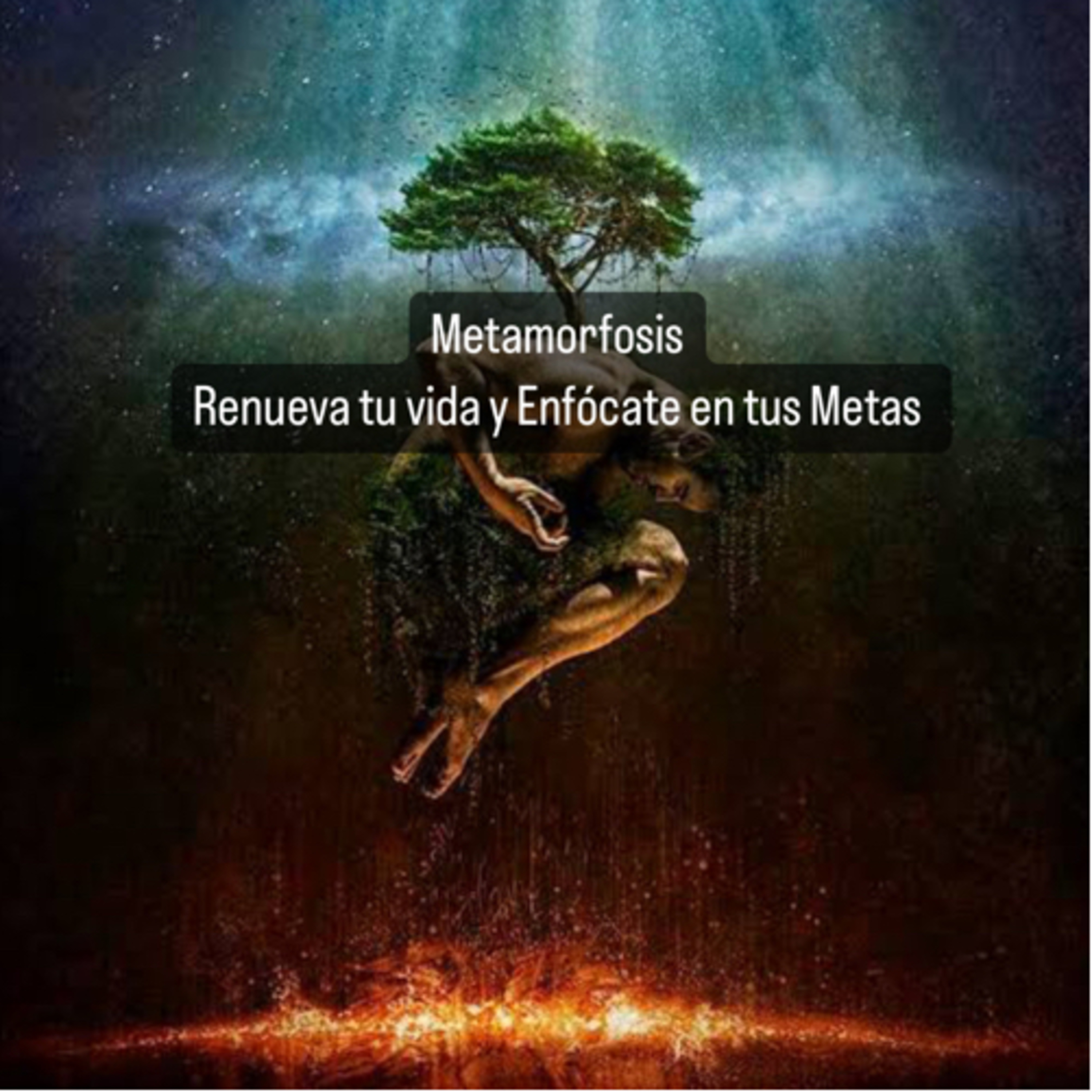 Metamorfosis: Renueva tu Vida y Enfócate en tus Metas episode artwork