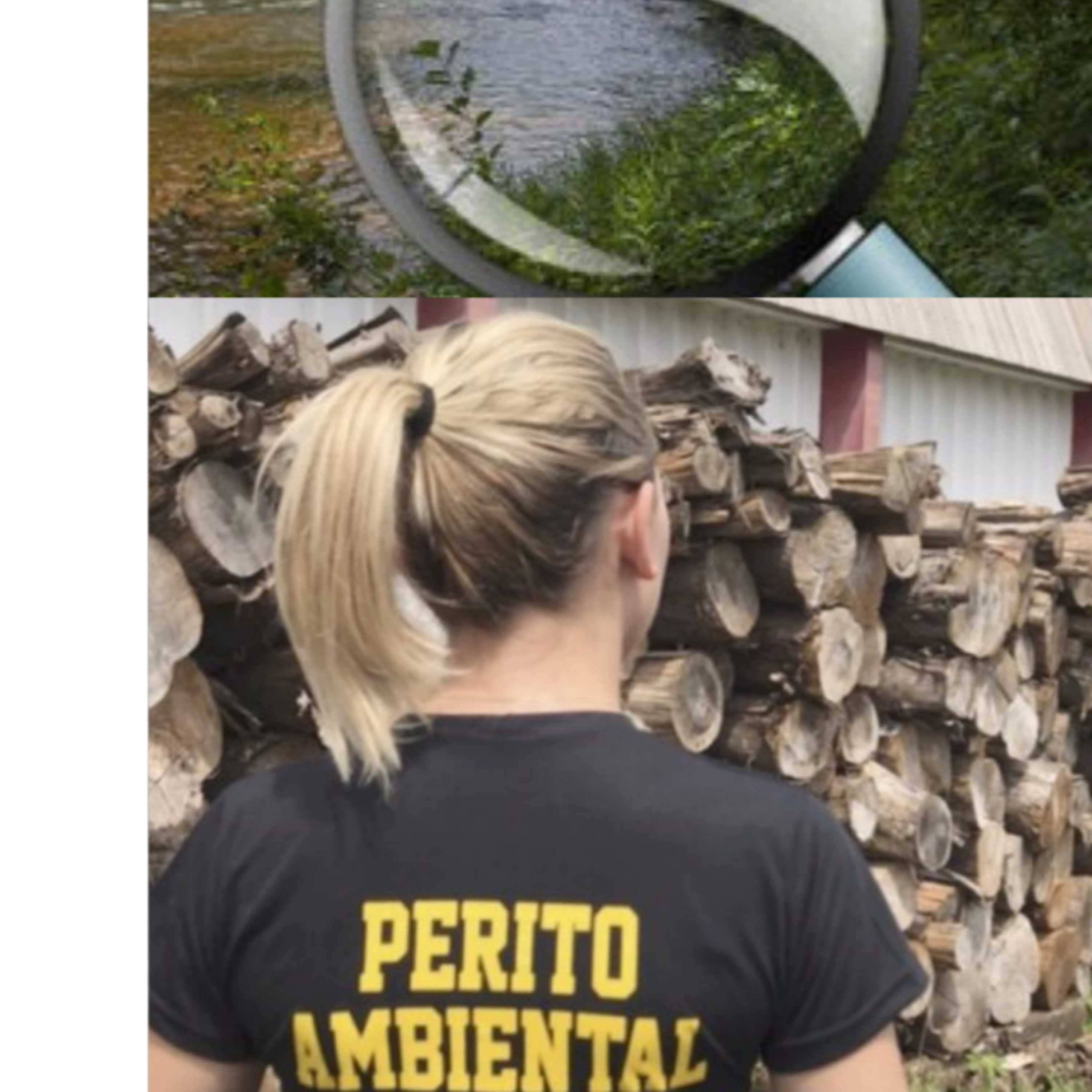 Meio Ambiente-EC