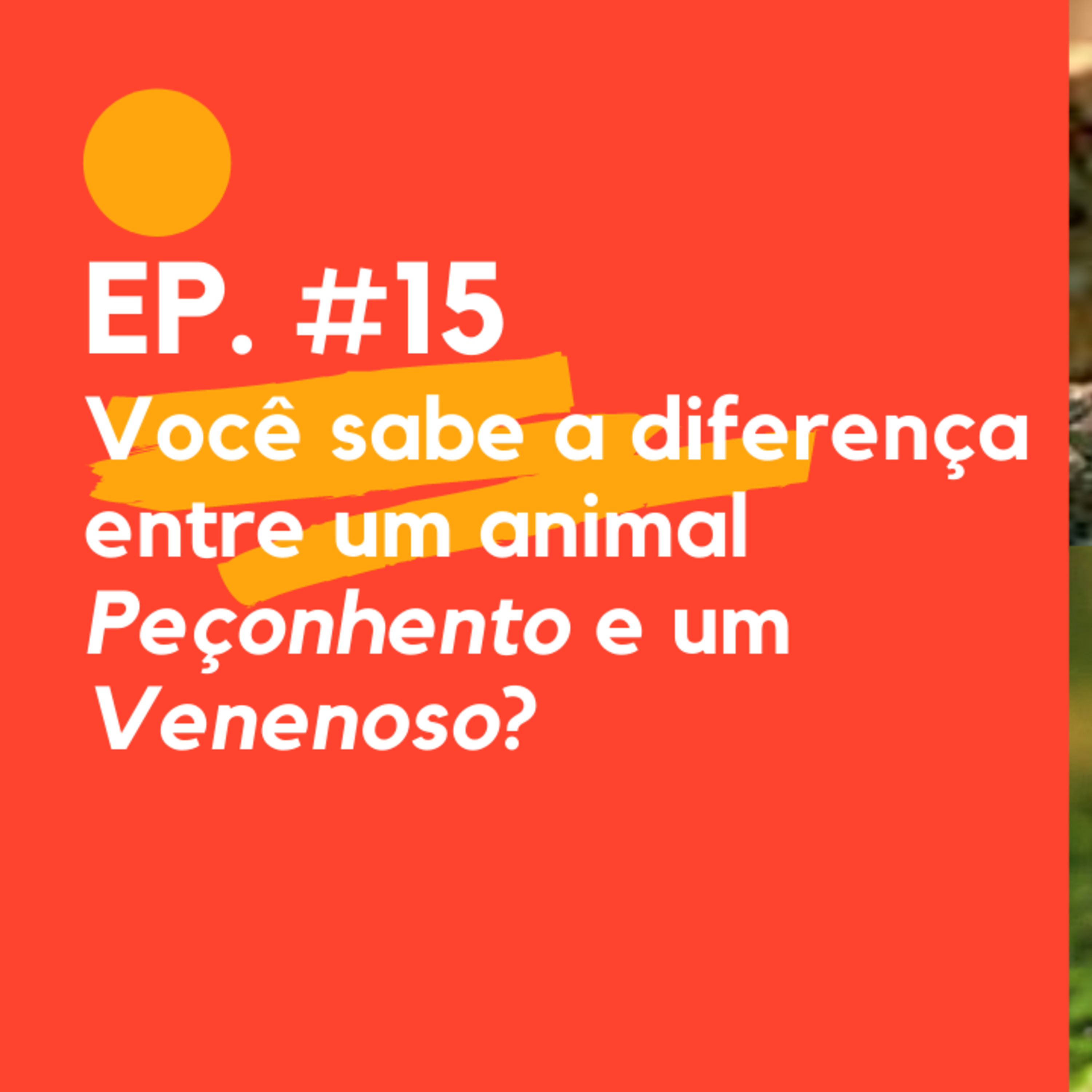 Meio Ambiente-EC