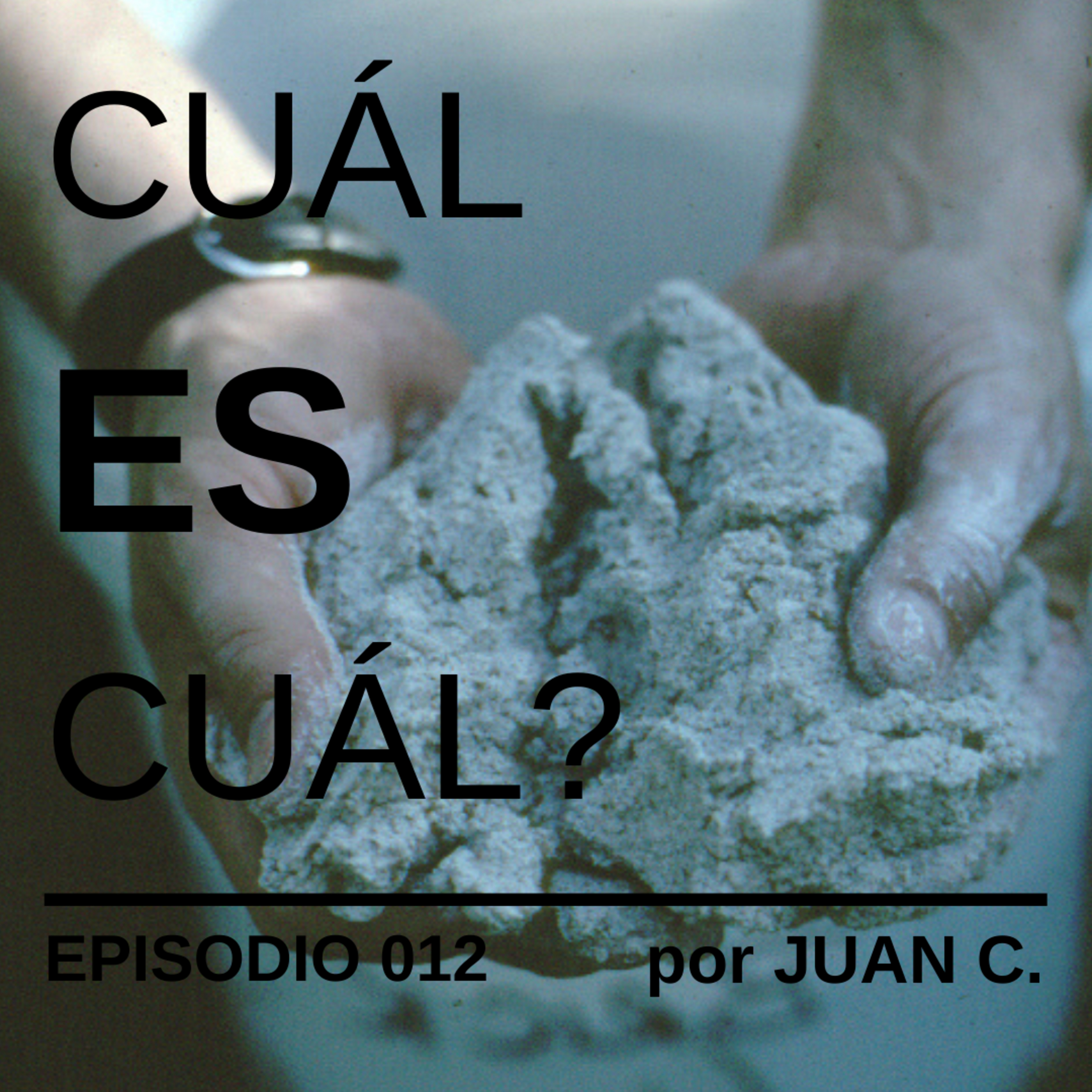 012 - ¿Cuál es cuál? episode artwork
