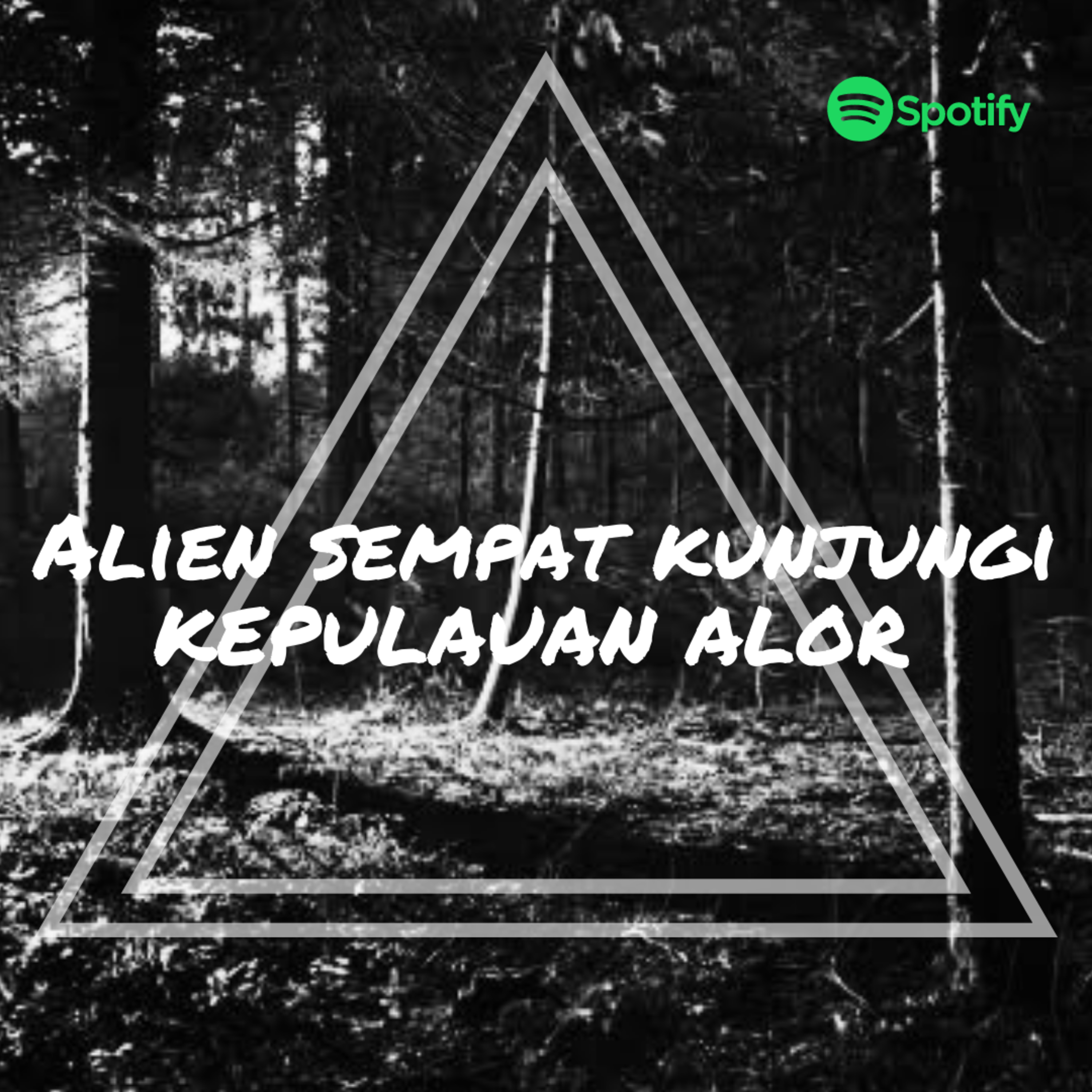 Triangle Podcast