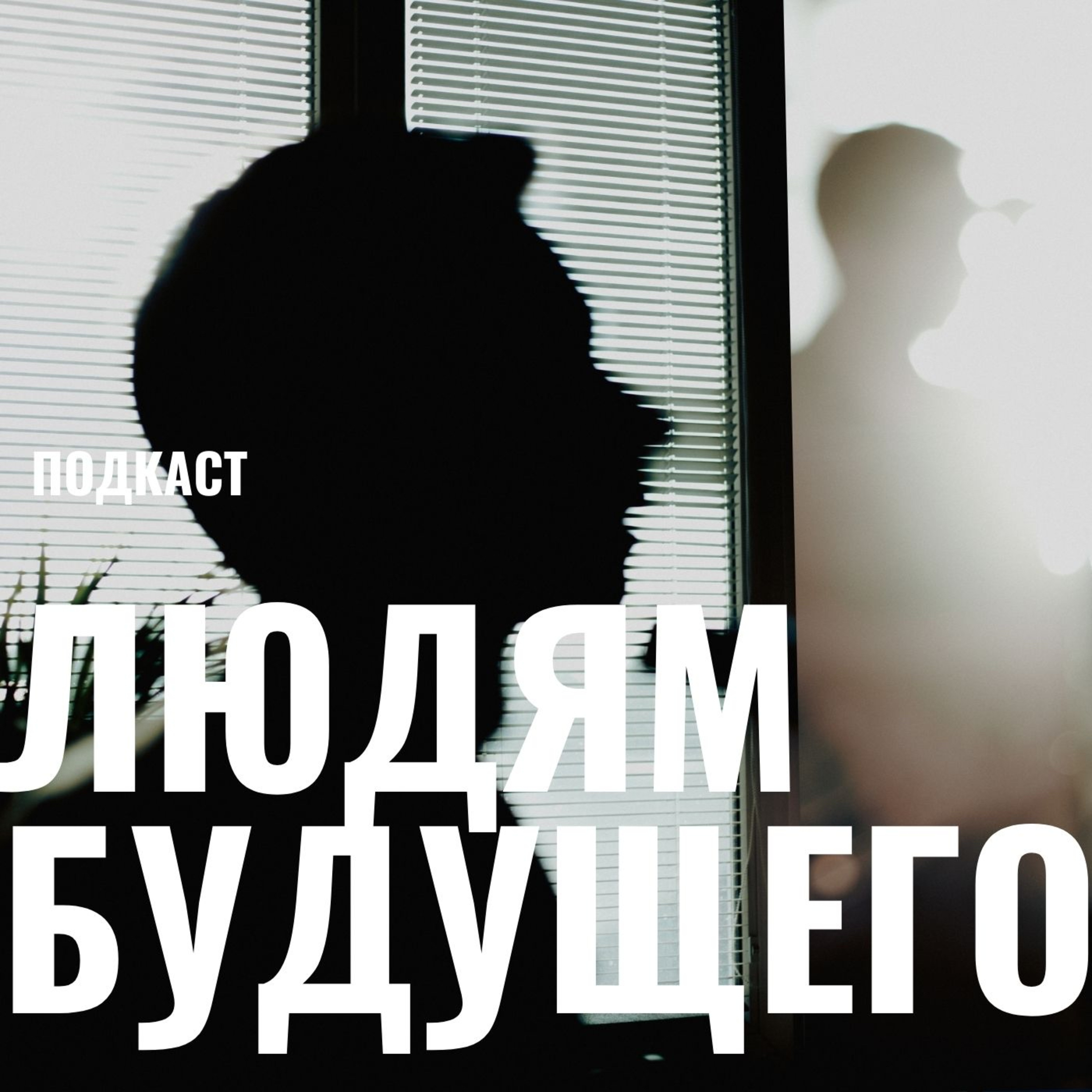 Аннотация романа «Закруглённая стрелка». Эпиграф. Дисклеймер. episode artwork