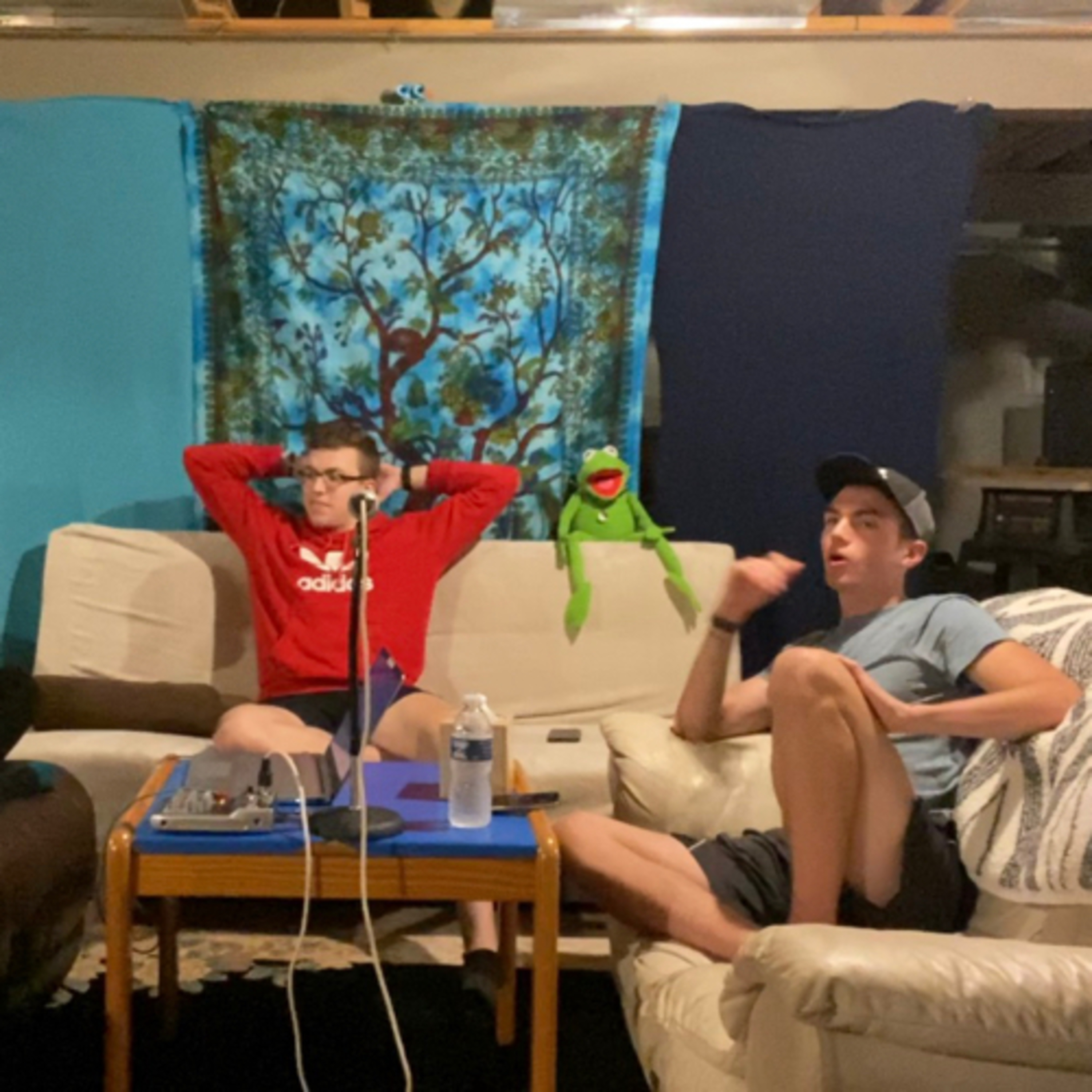 Ducks on the Pondcast