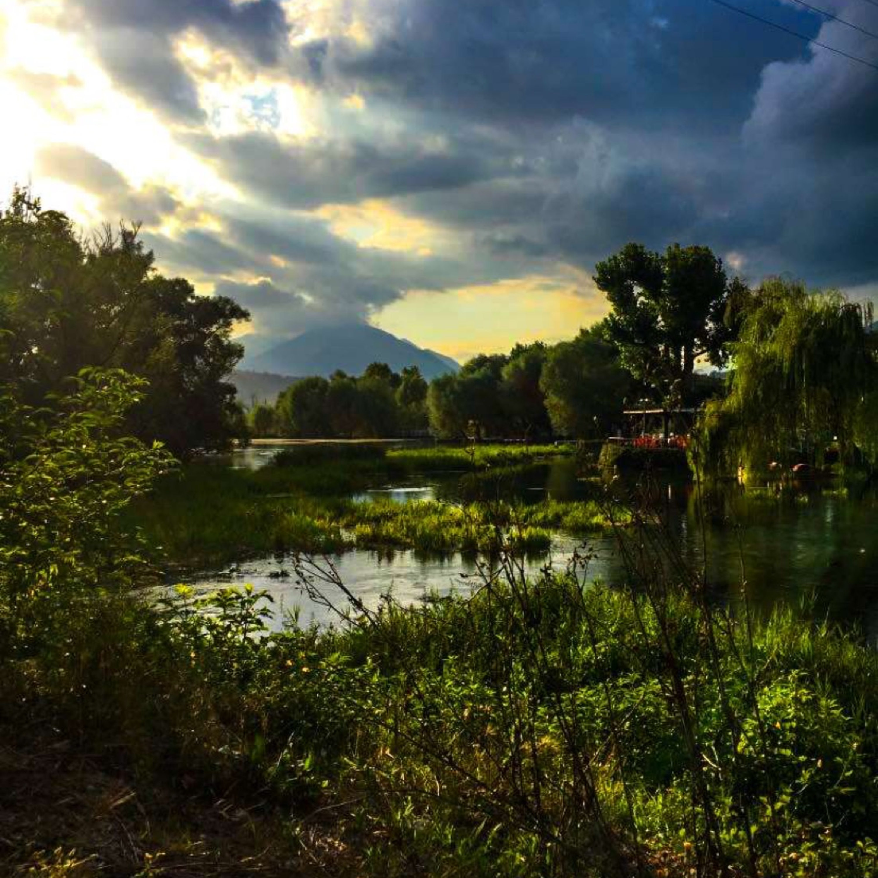 Ducks on the Pondcast