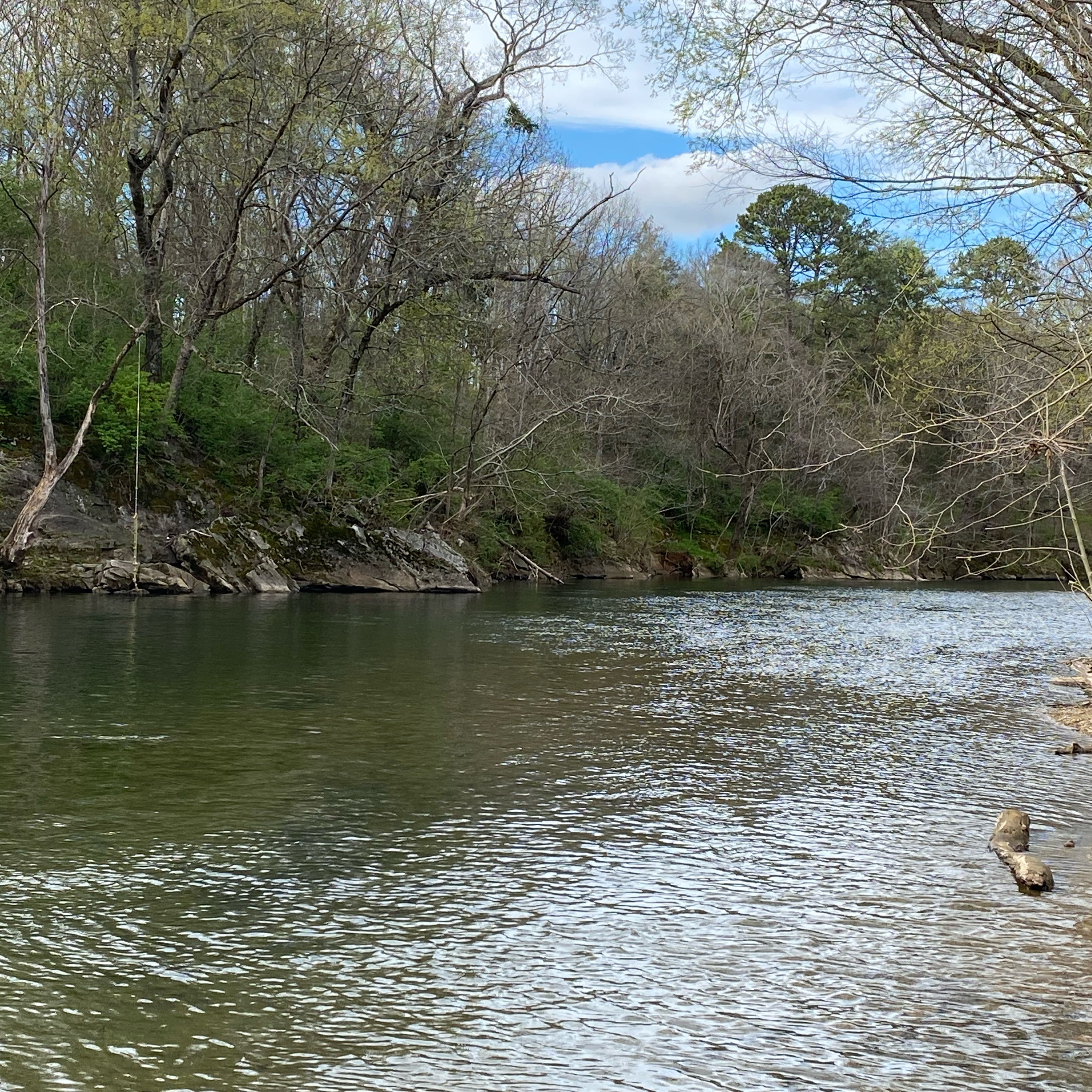 Ducks on the Pondcast