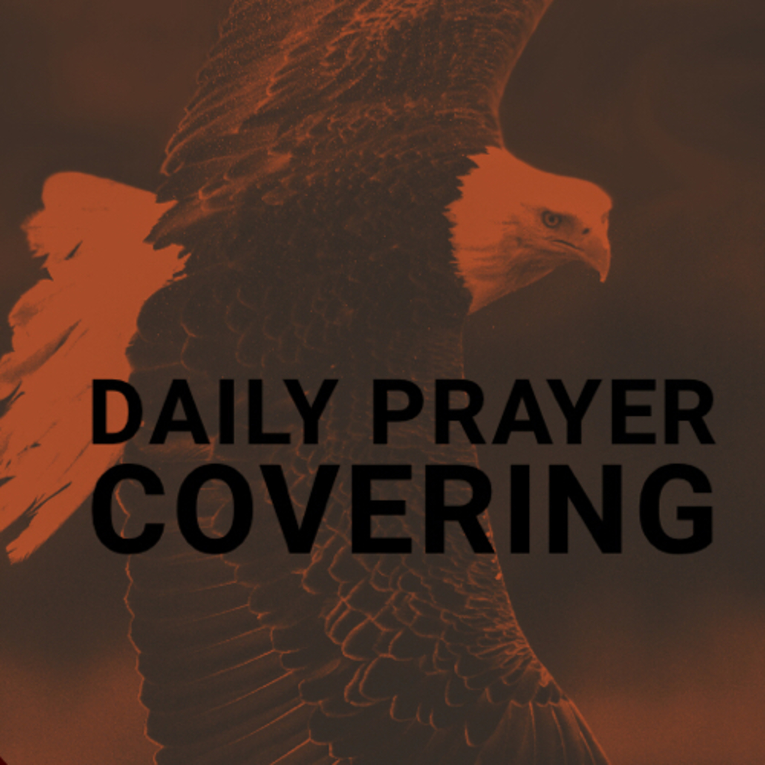 Supplemental: Prayer Covering episode artwork