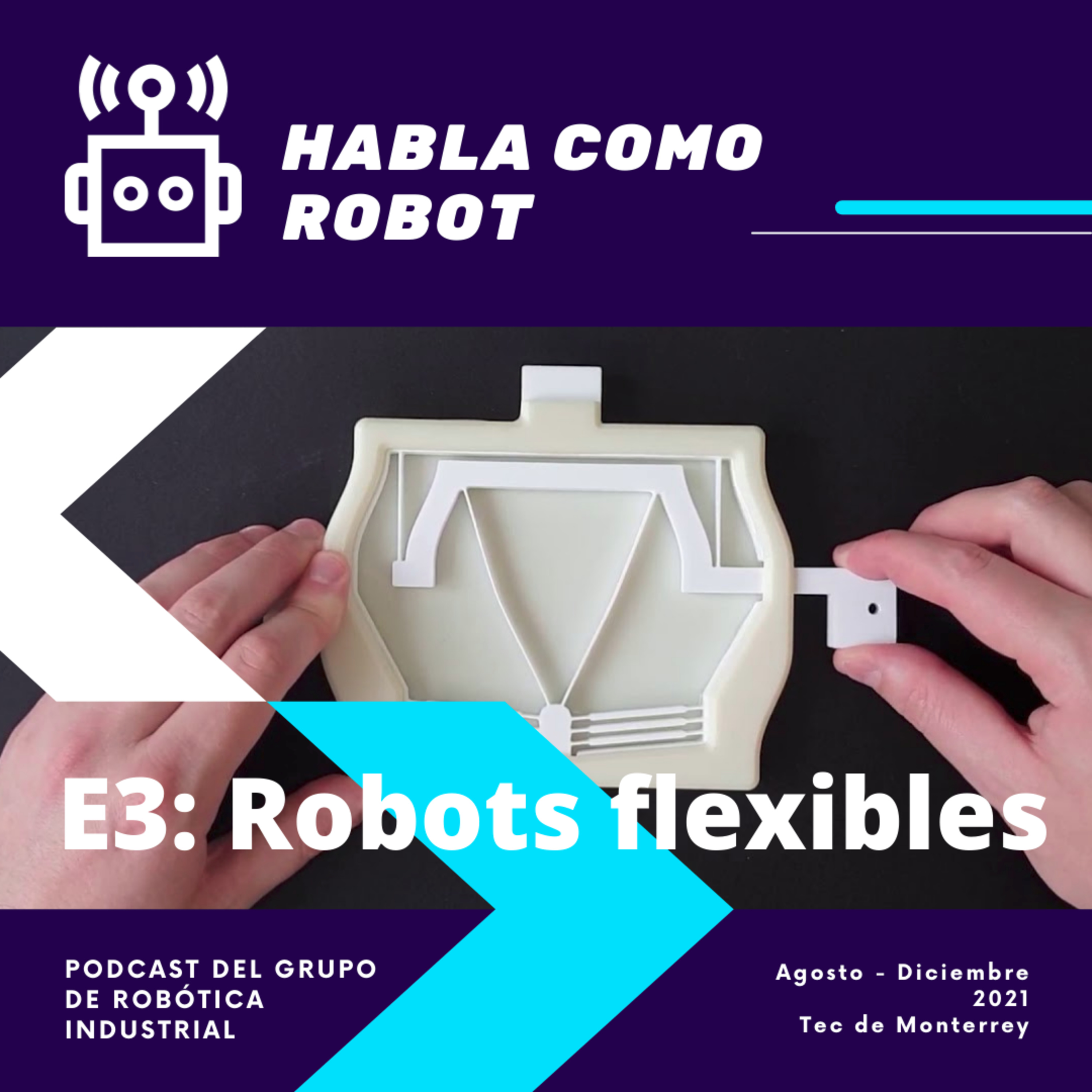 E3. Robots flexibles episode artwork