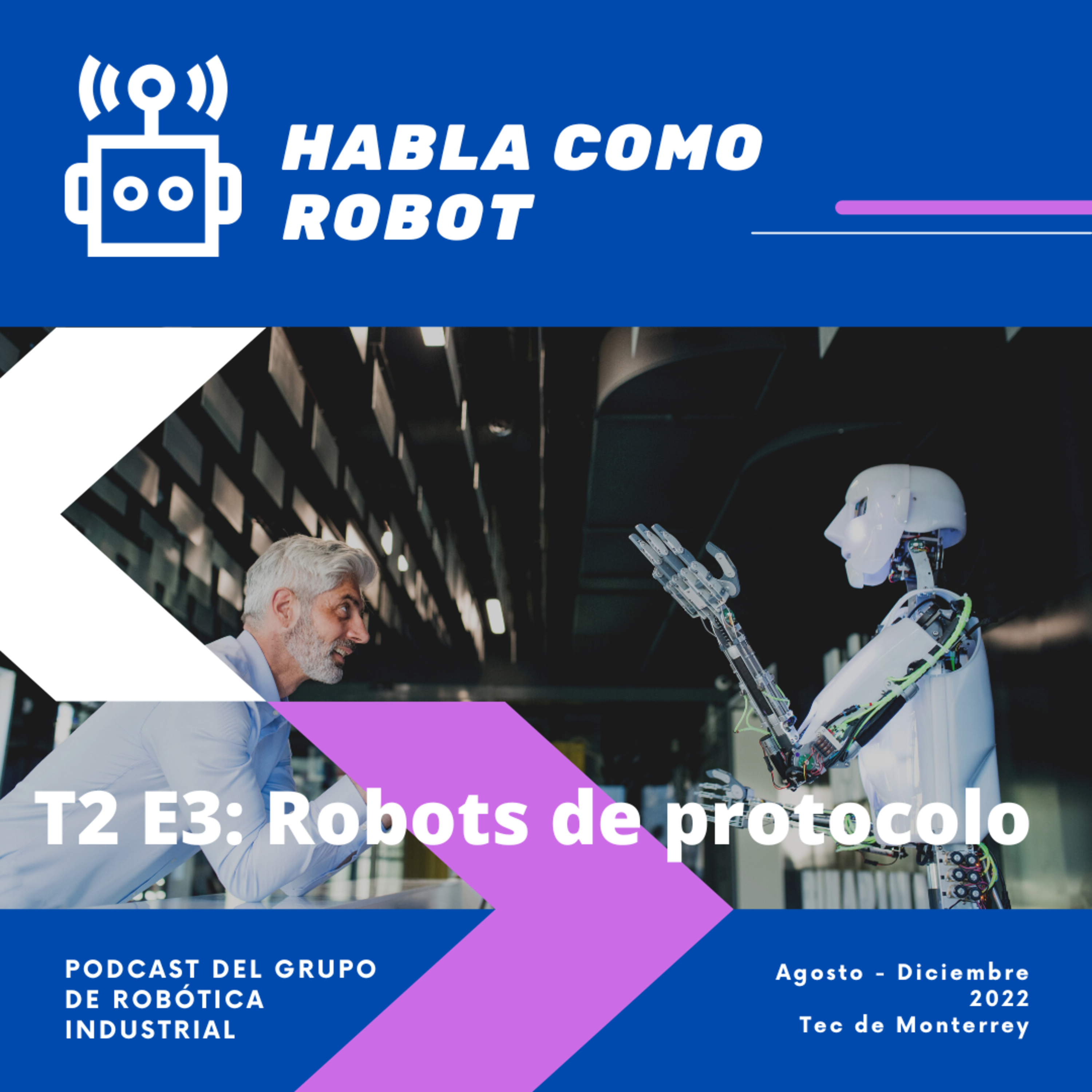 T2 E3. Robots de protocolo episode artwork