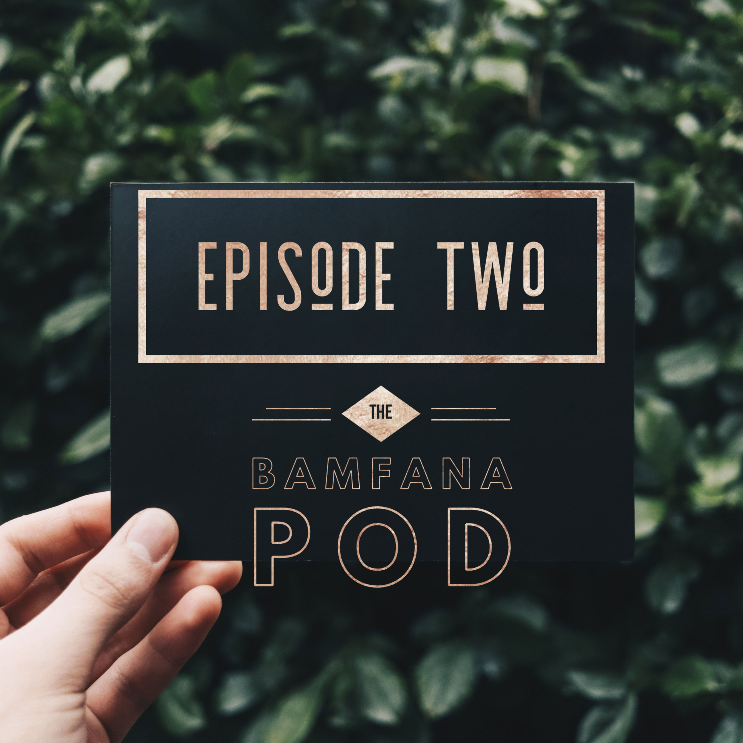The Bamfana Pod