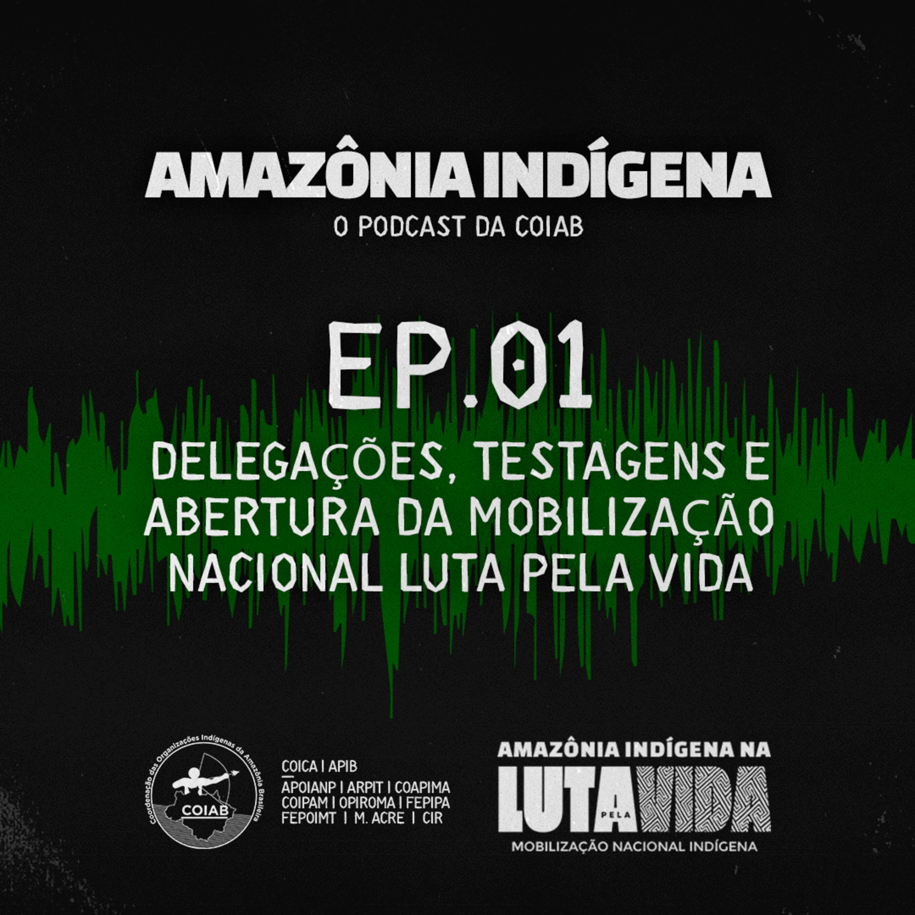Amazônia Indígena