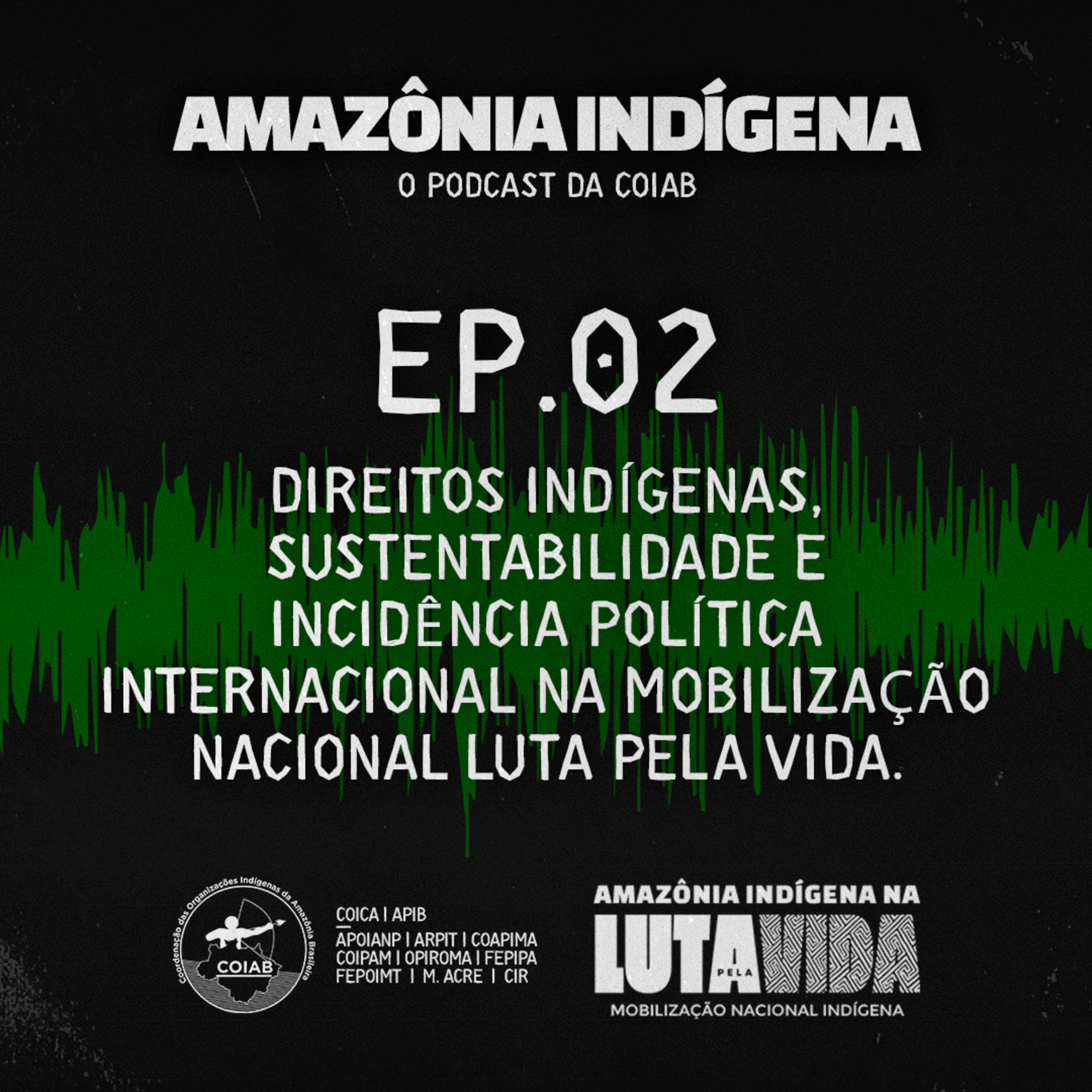 Amazônia Indígena