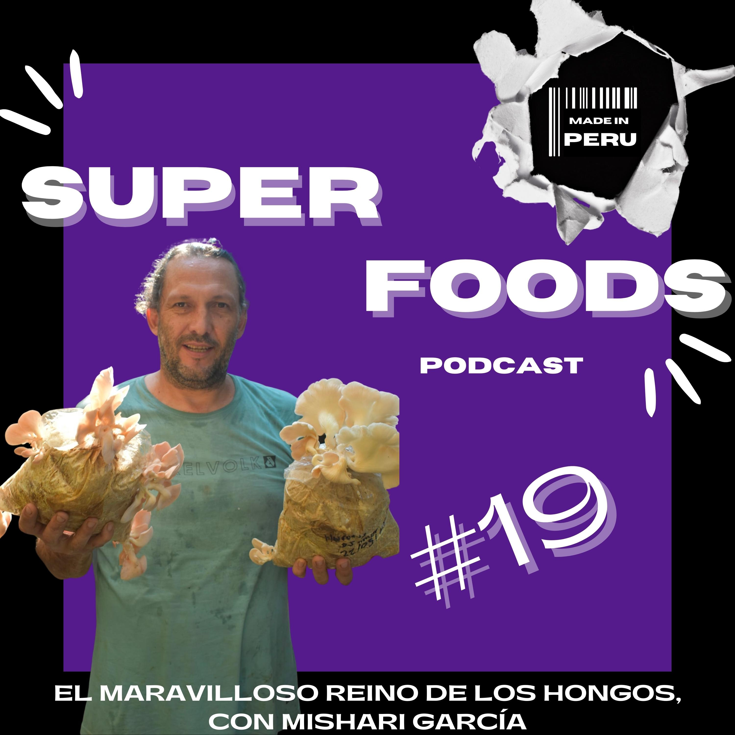 #19 El maravilloso reino de los hongos, con Mishari García episode artwork