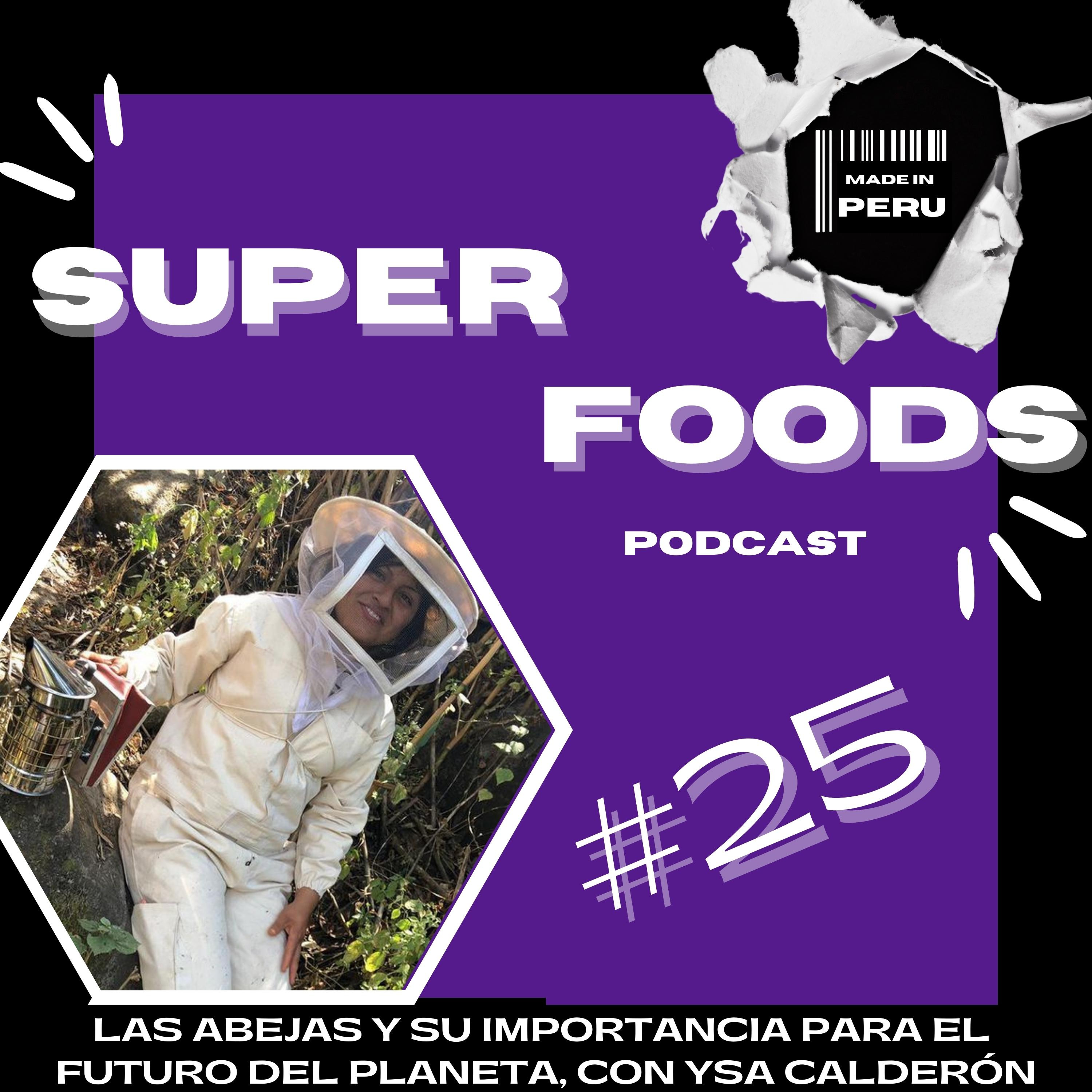 #25 Las abejas y su importancia para el futuro del planeta, con Ysa Calderón episode artwork