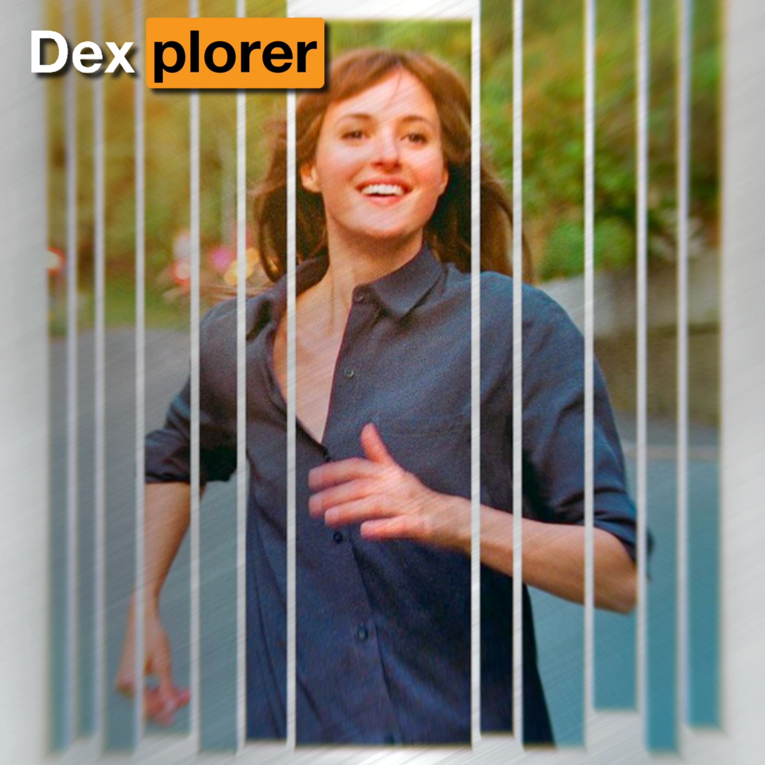 Dexplorer