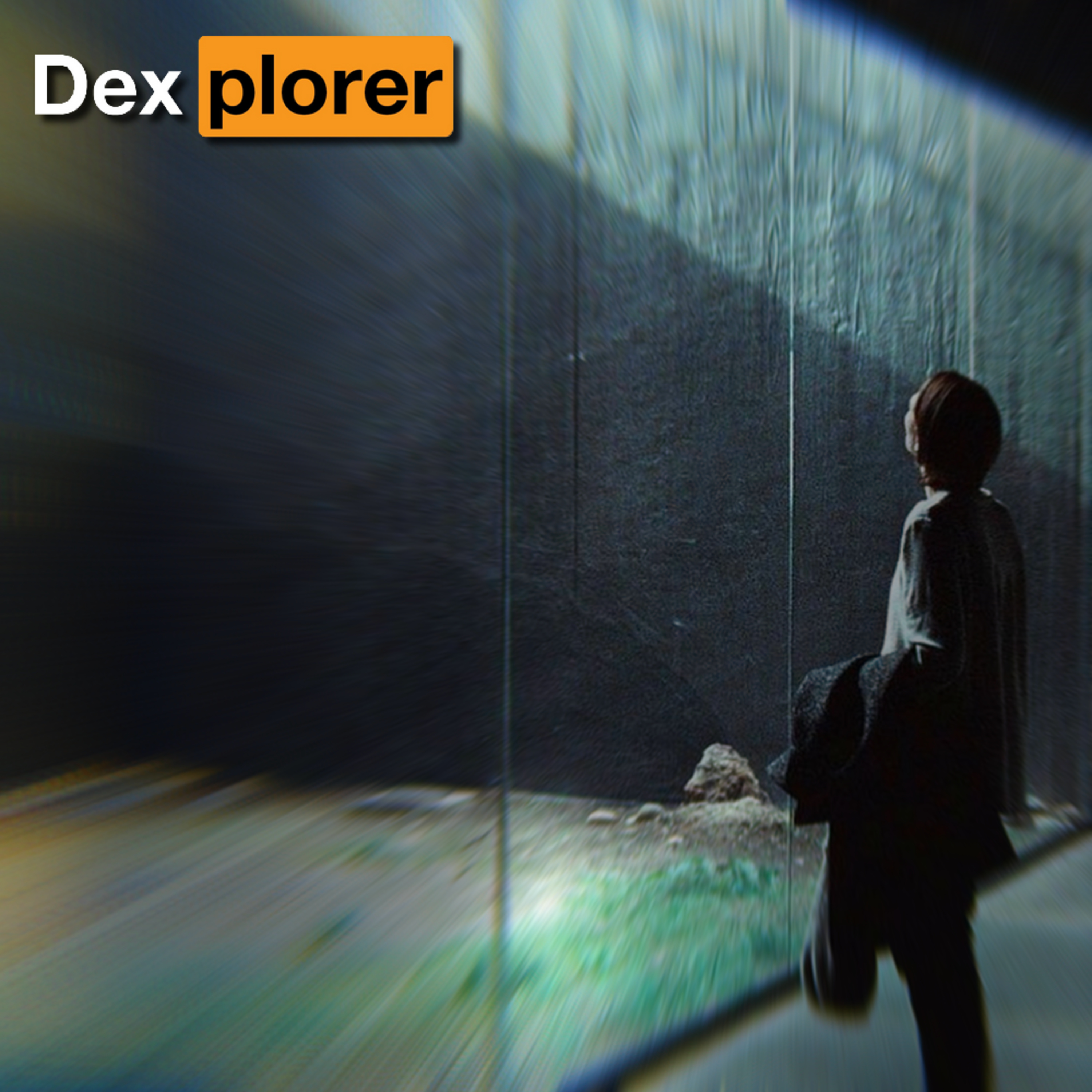 Dexplorer