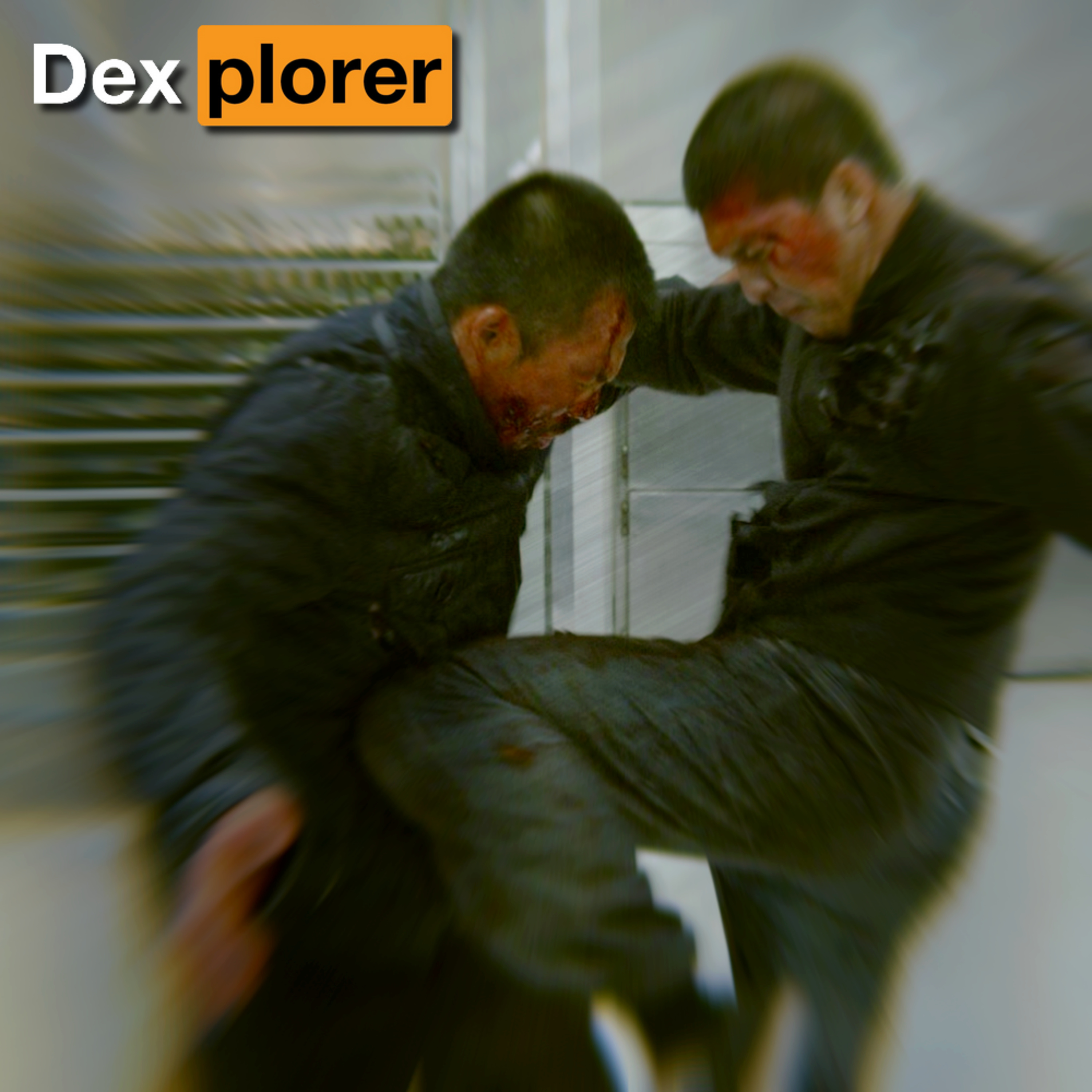 Dexplorer
