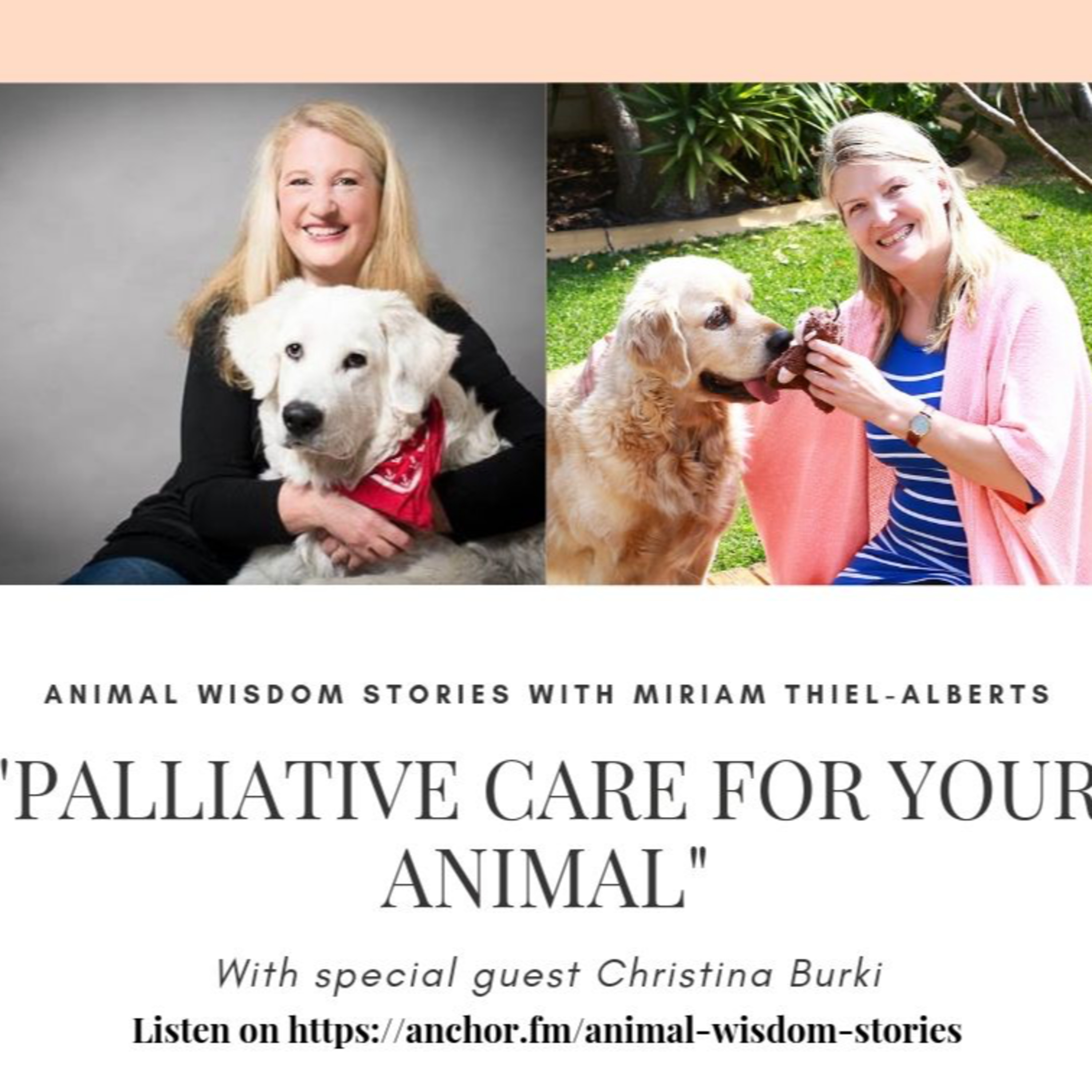 Animal Wisdom Stories