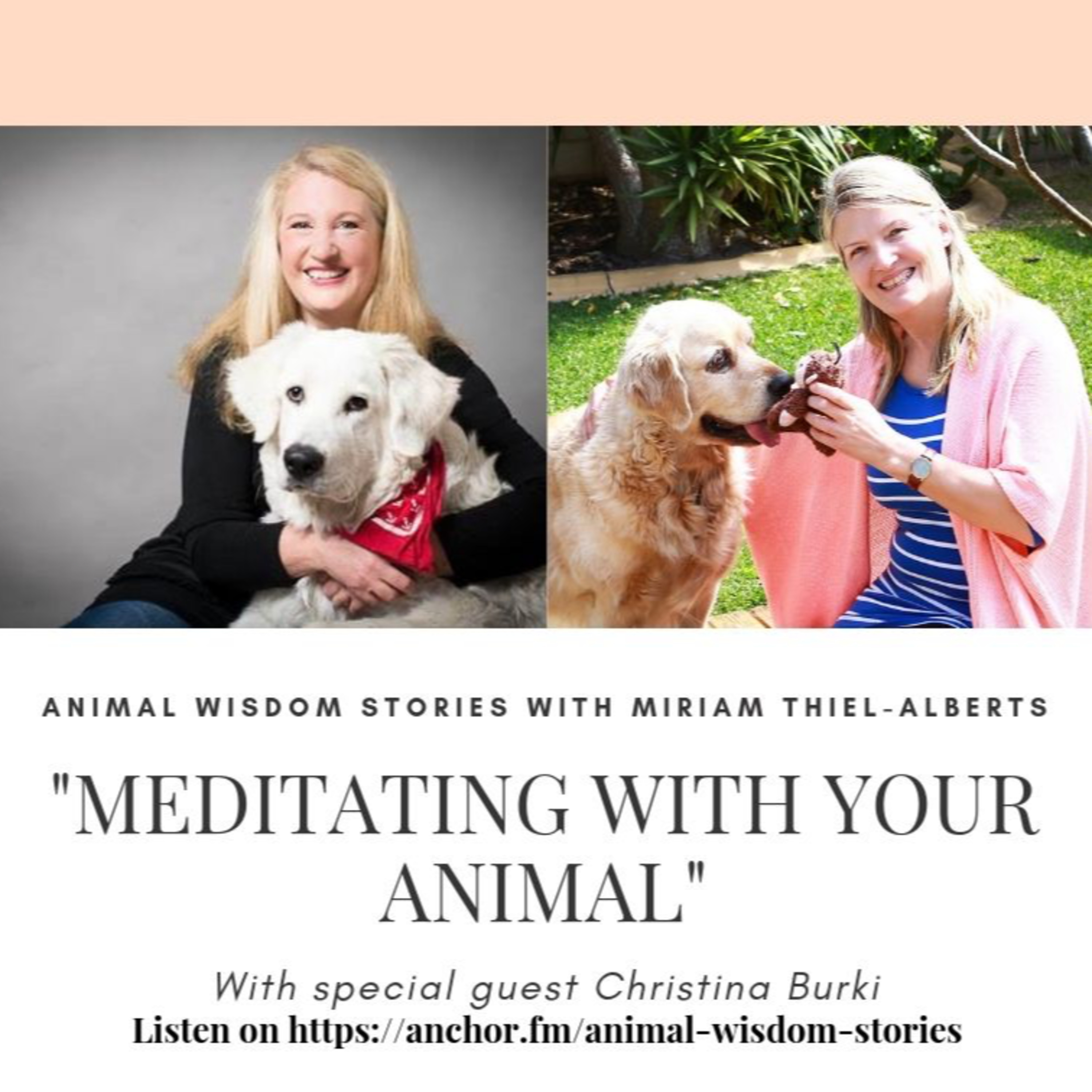Animal Wisdom Stories