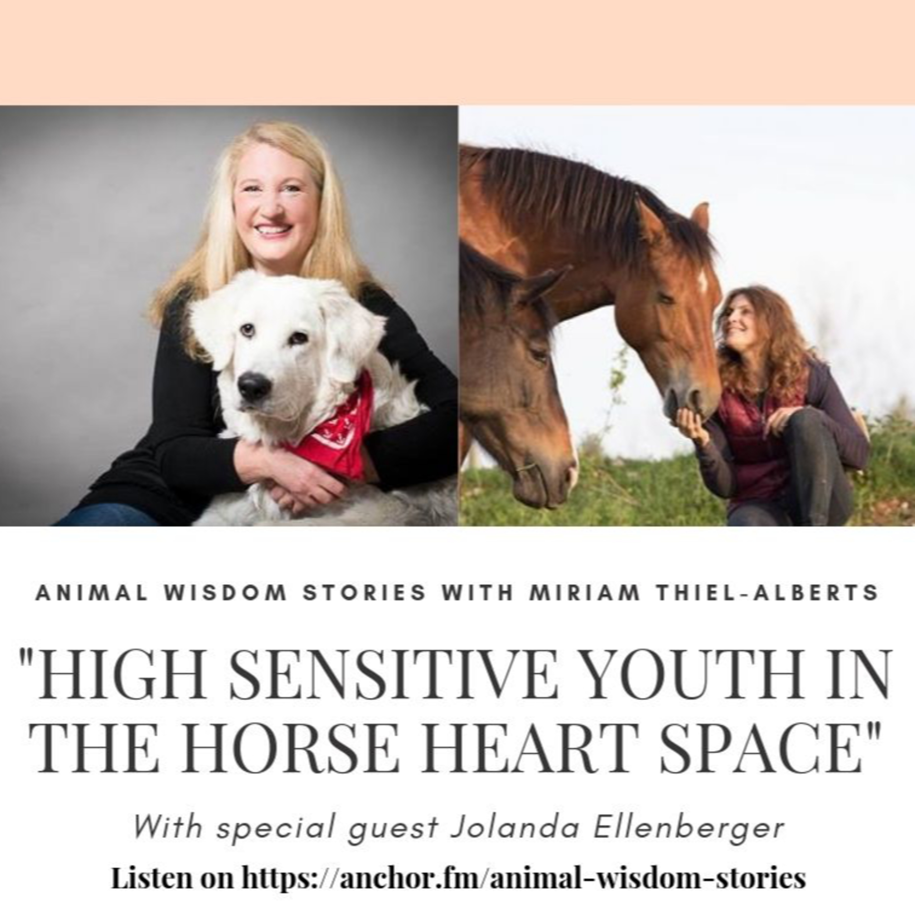 Animal Wisdom Stories