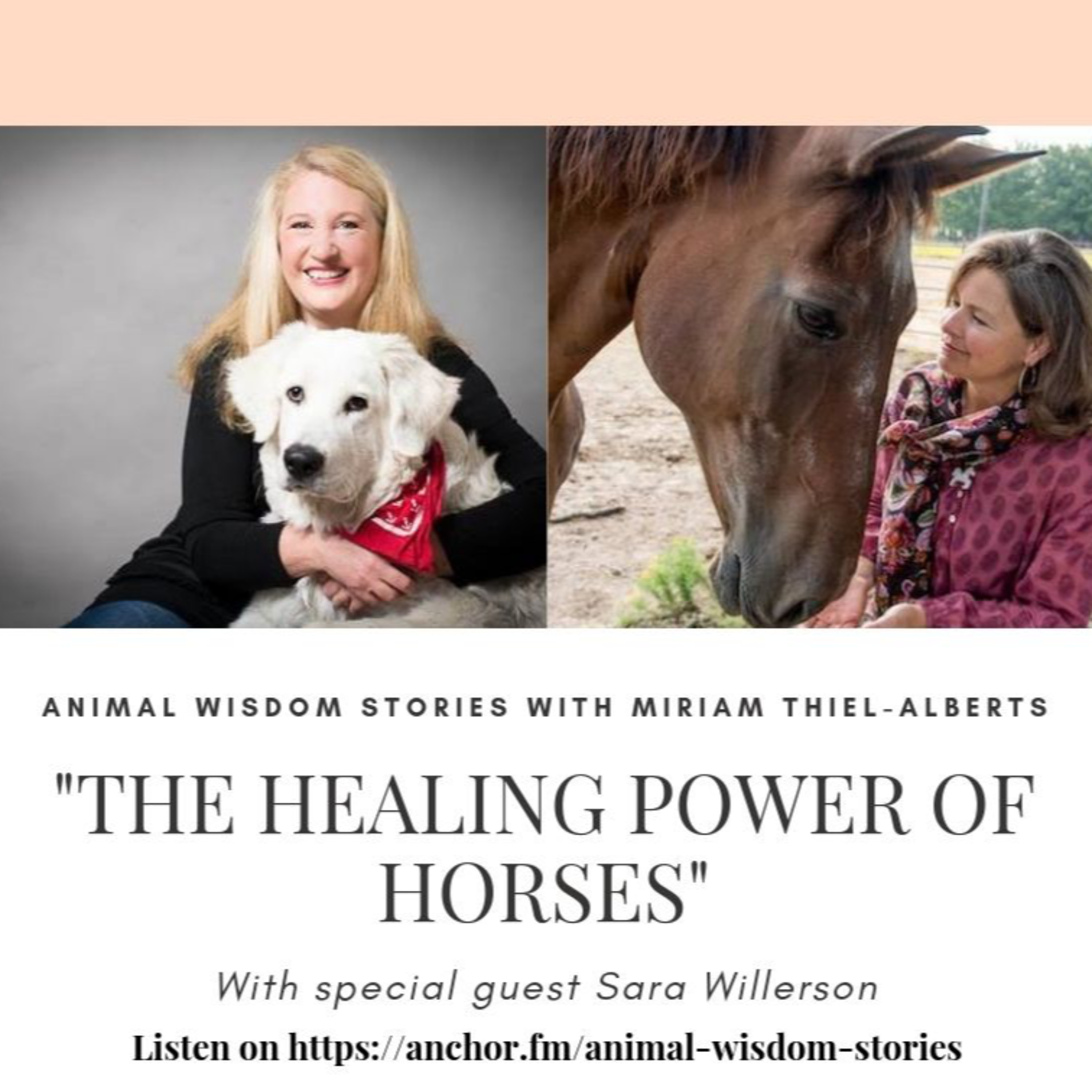 Animal Wisdom Stories